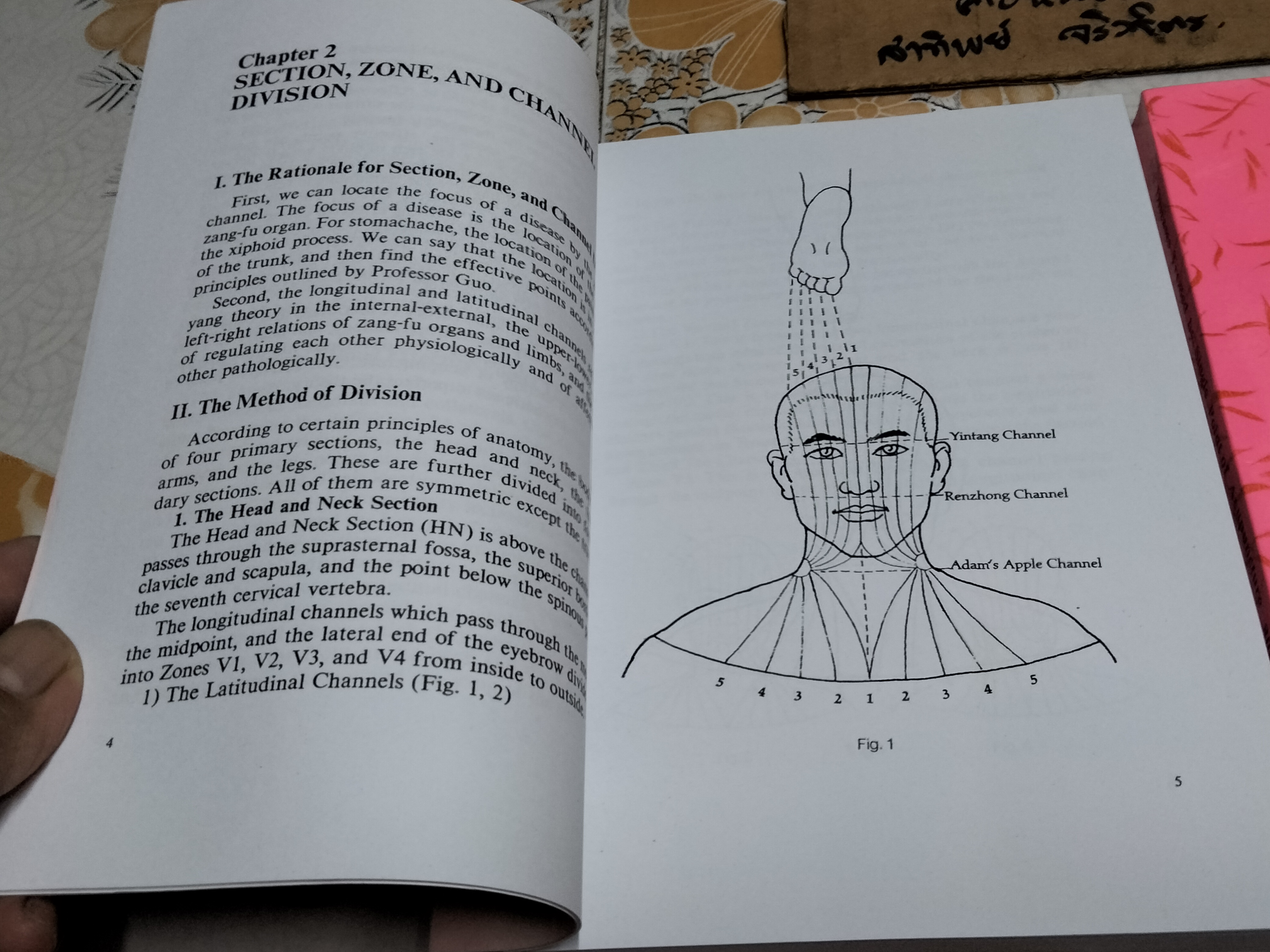 หนังสือเกี่ยวกับการแพทย์แผนจีน- การฝังเข็ม (ภาษาอังกฤษ /ฉบับถ่ายเอกสาร) Effective Points Therapy of Acupuncture , Mao Qunhui + 100 Diseases Treated by Single Point of Acupuncture and Moxibustion , Chen Decheng **สินค้าหมด**