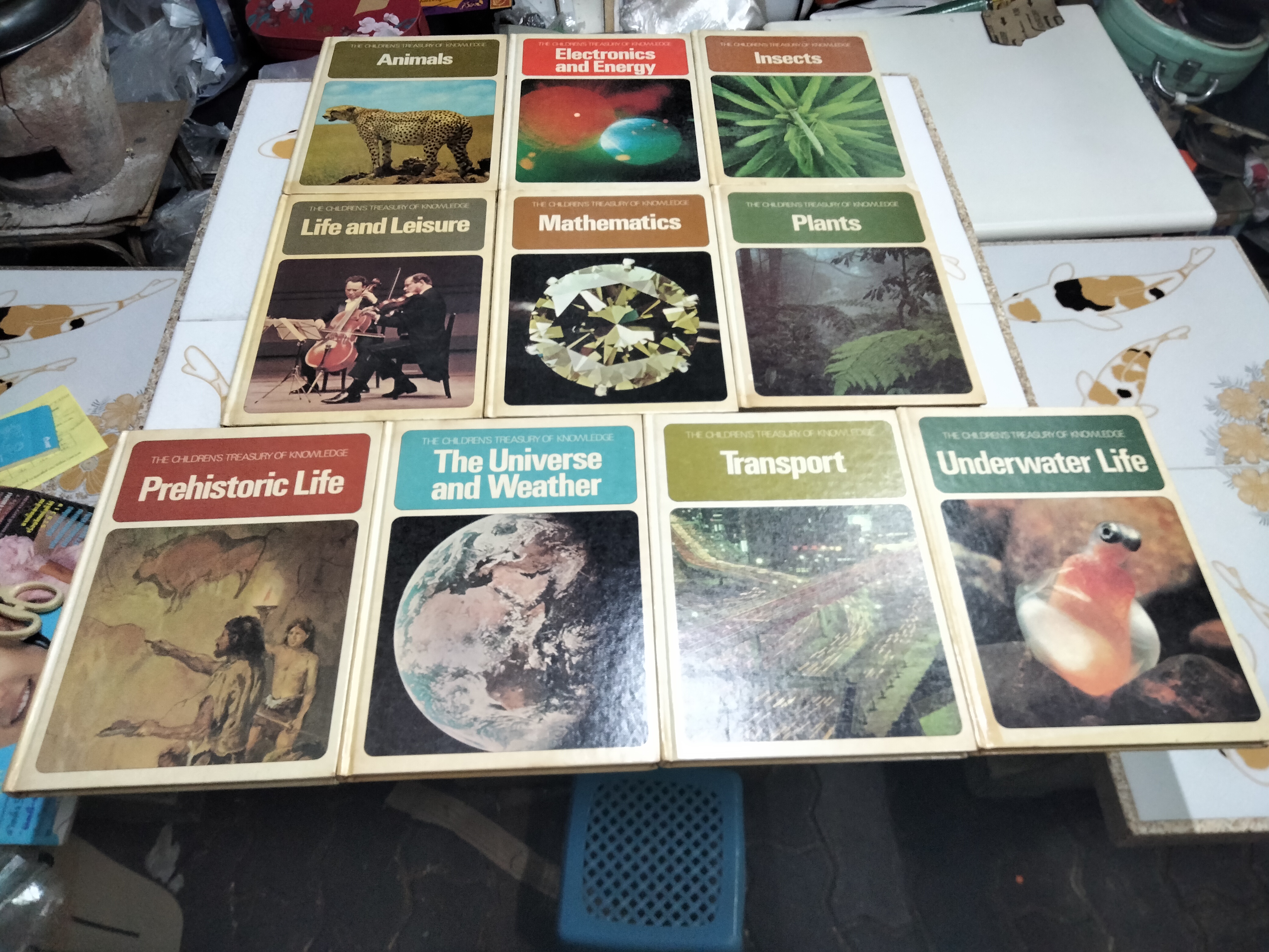 The Children's Treasurey of Knowledge (10 เล่มชุด)