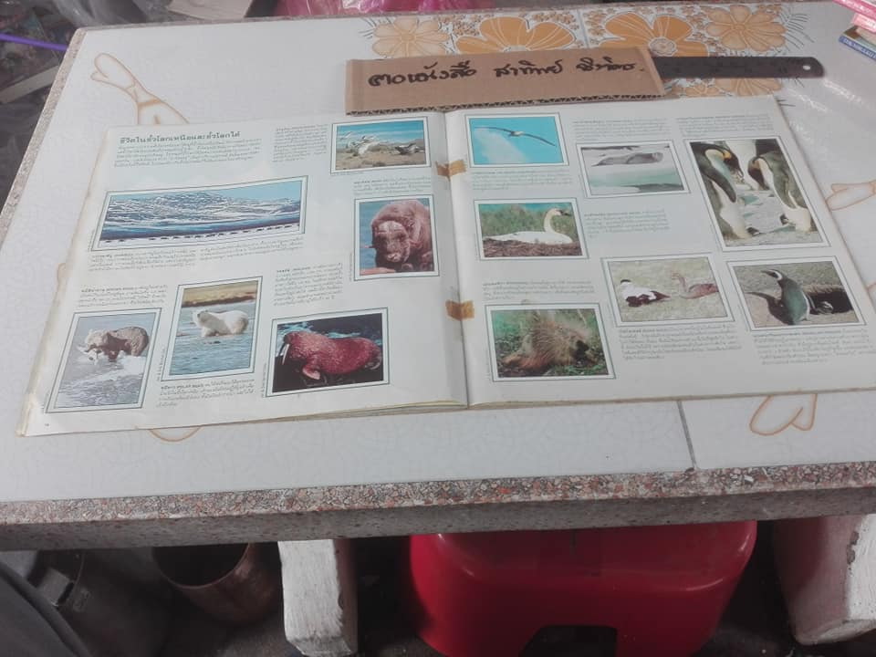 สมุดสะสมสติกเกอร์ ชีวิตสัตว์โลก (แปะครบ 240 รูป) ** สินค้าหมด**
