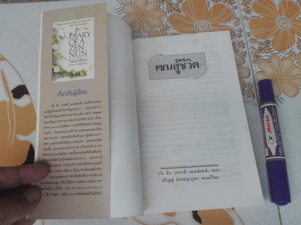 เซนสู้ชีวิต Diary Of A Zen Nun นัน ชิน (แนนซี แอมฟอกซ์) รจนา , ปริญญ์ ปราชญานุพร พากย์ไทย **สินค้าหมด**