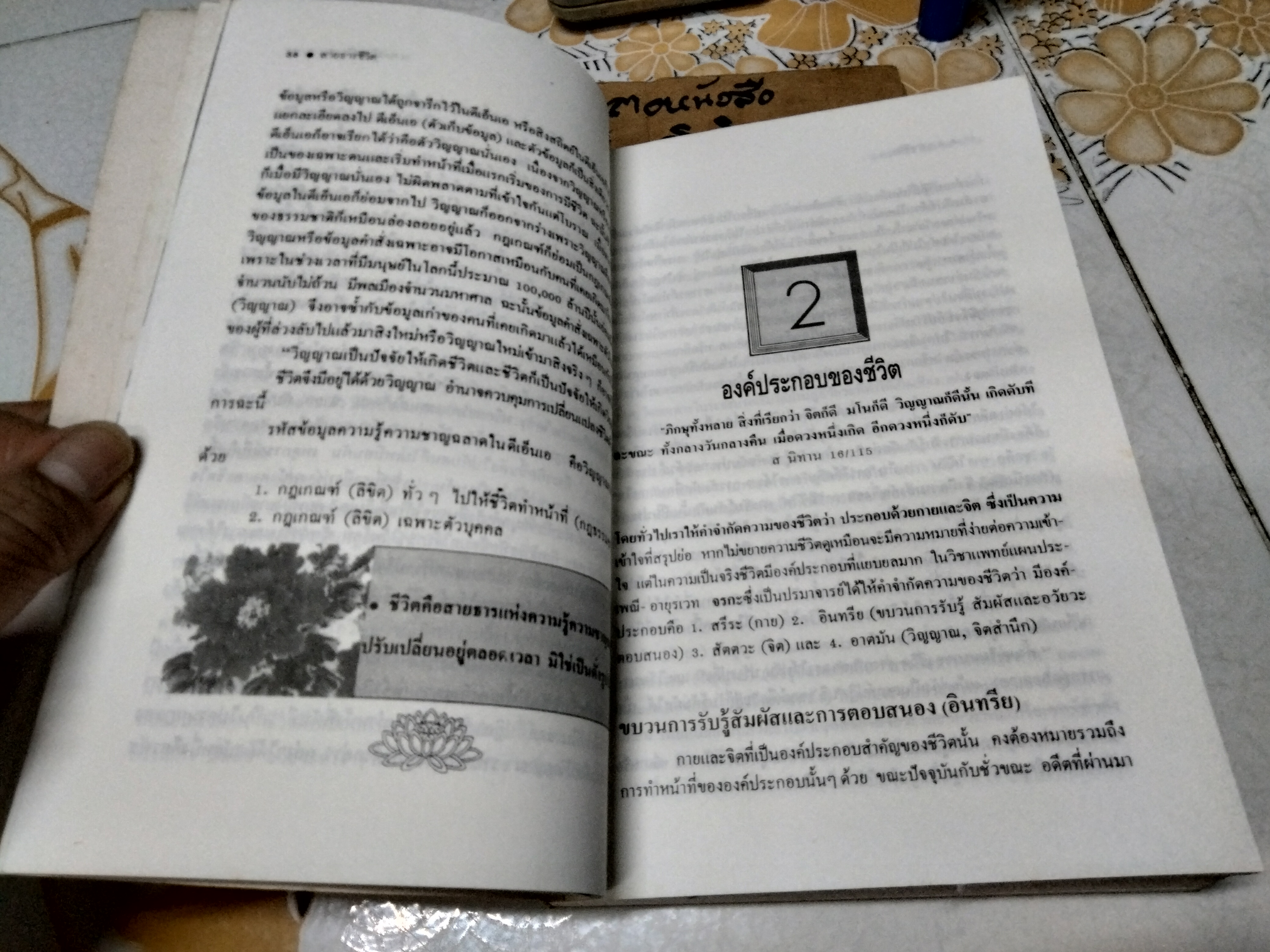 สายธารชีวิต โดย ศาสตราจารย์นายแพทย์ เฉลียว ปิยะชน พิมพ์ครั้งแรกพ.ศ 2534 สนพ.สุขภาพใจ
