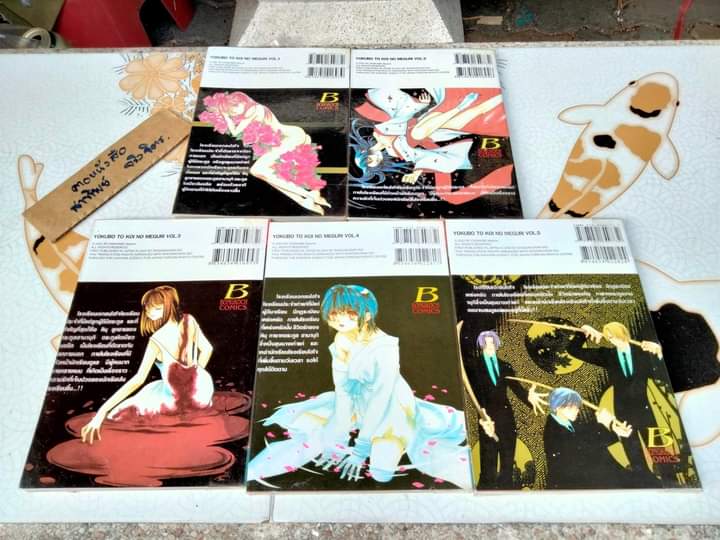 รักฤาเสน่หา (5 เล่มจบ-เช่า สภาพดี) ผลงานขุ โอซาคาเบะ มาชิน , ผู้วาด กรงรัก