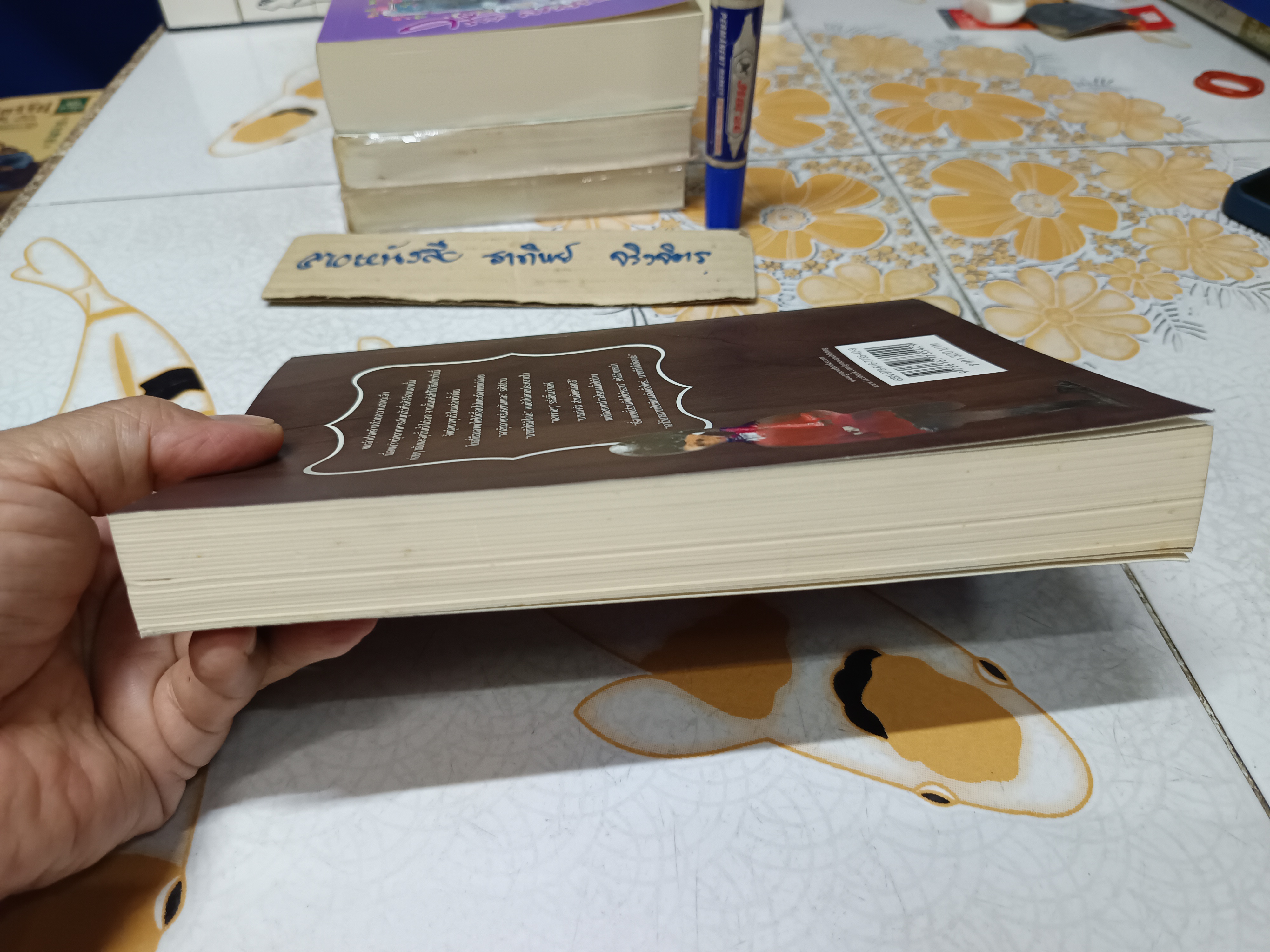 มายาเงา (เล่มเดียวจบ) พงศกร