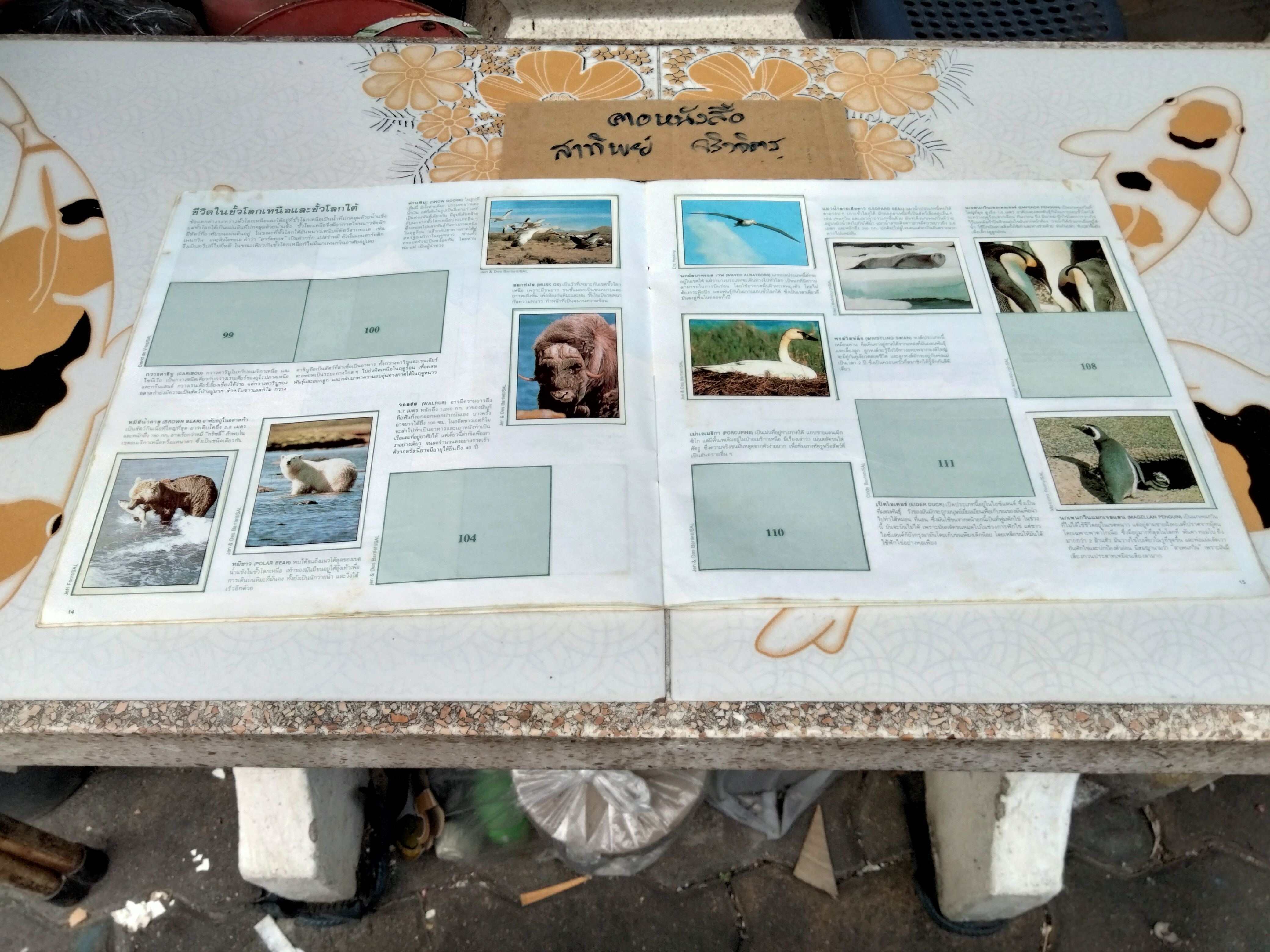 สมุดสะสมสติกเกอร์ ชีวิตสัตว์โลก (แปะสติกเกอร์ 178 รูป จากทั้งหมด 240 รูป) **สินค้าหมด**