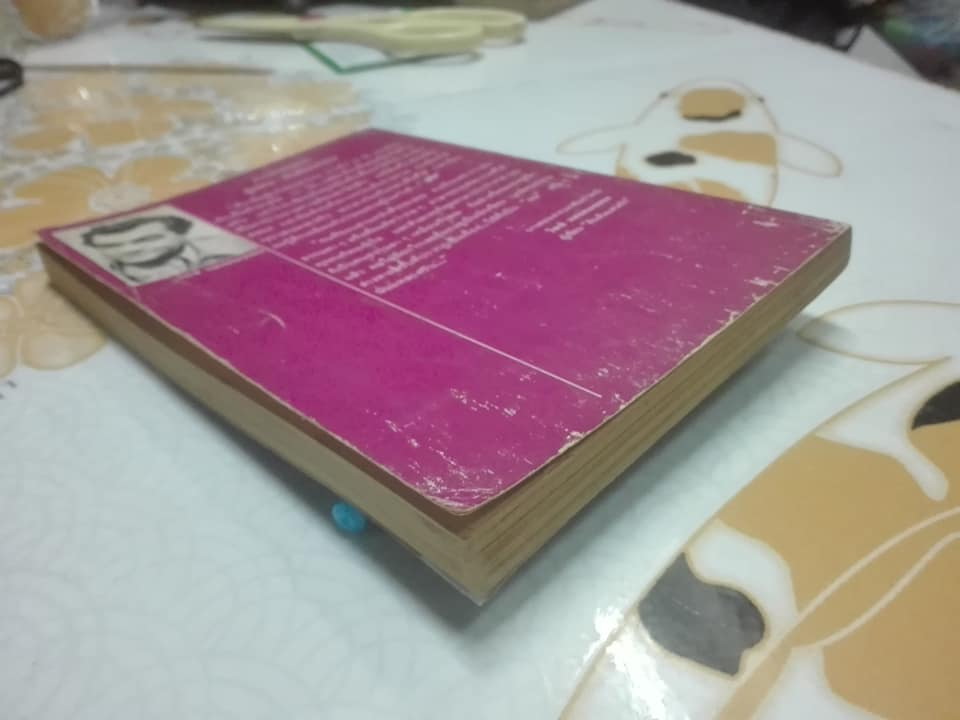 ต้นส้มแสนรัก MY SWEET-ORANGE TREE วรรณกรรมเยาวชน จาก บราซิล โจเซ่ วาสคอนเซลอส เขียน - มัทนี เกษกมล แปล (พ.ศ.2525)