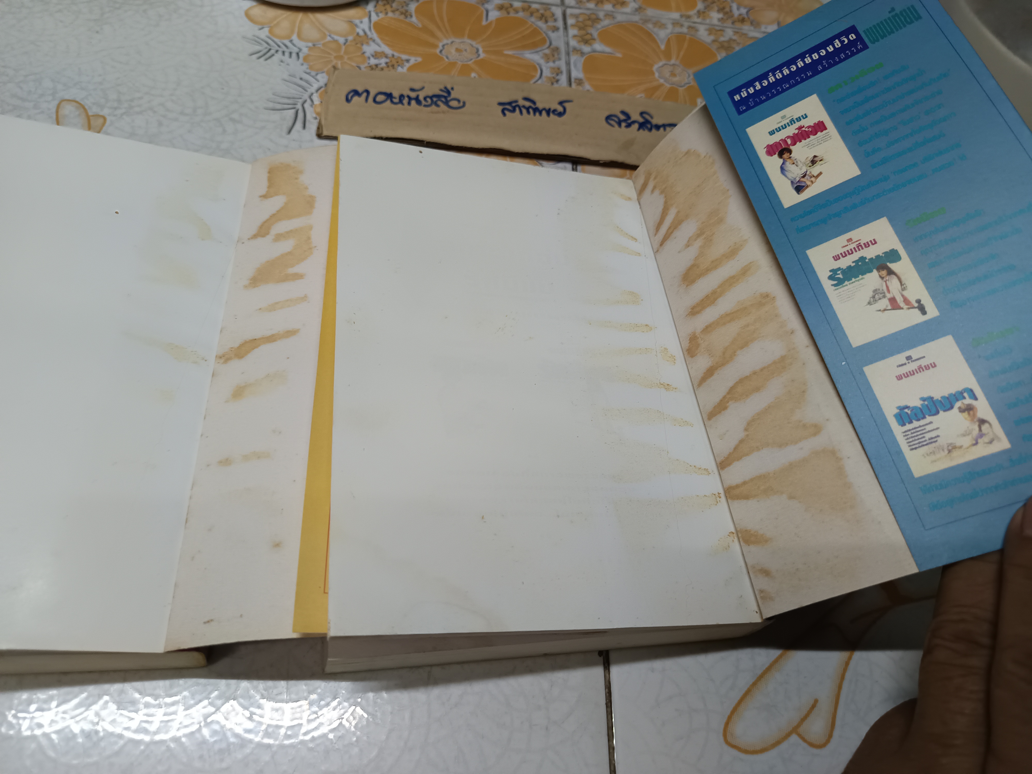 รักในสายหมอก (2 เล่มจบ) โสภาค สุวรรณ