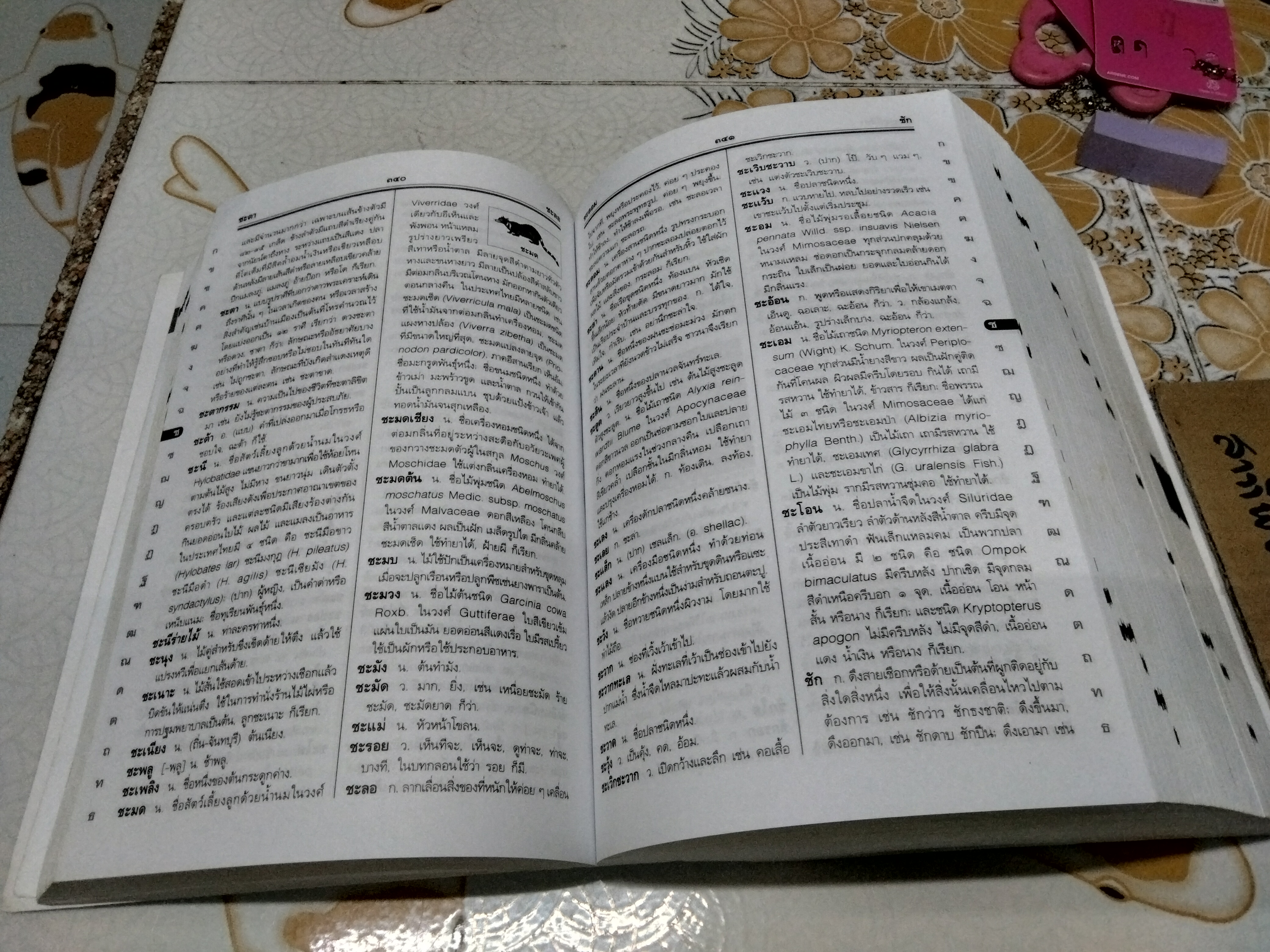 พจนานุกรมไทย ฉบับทันสมัยและสมบูรณ์ โดย ฝ่ายวิชาการภาษาไทย บริษัท ซีเอ็ดยูเคชั่น จำกัด