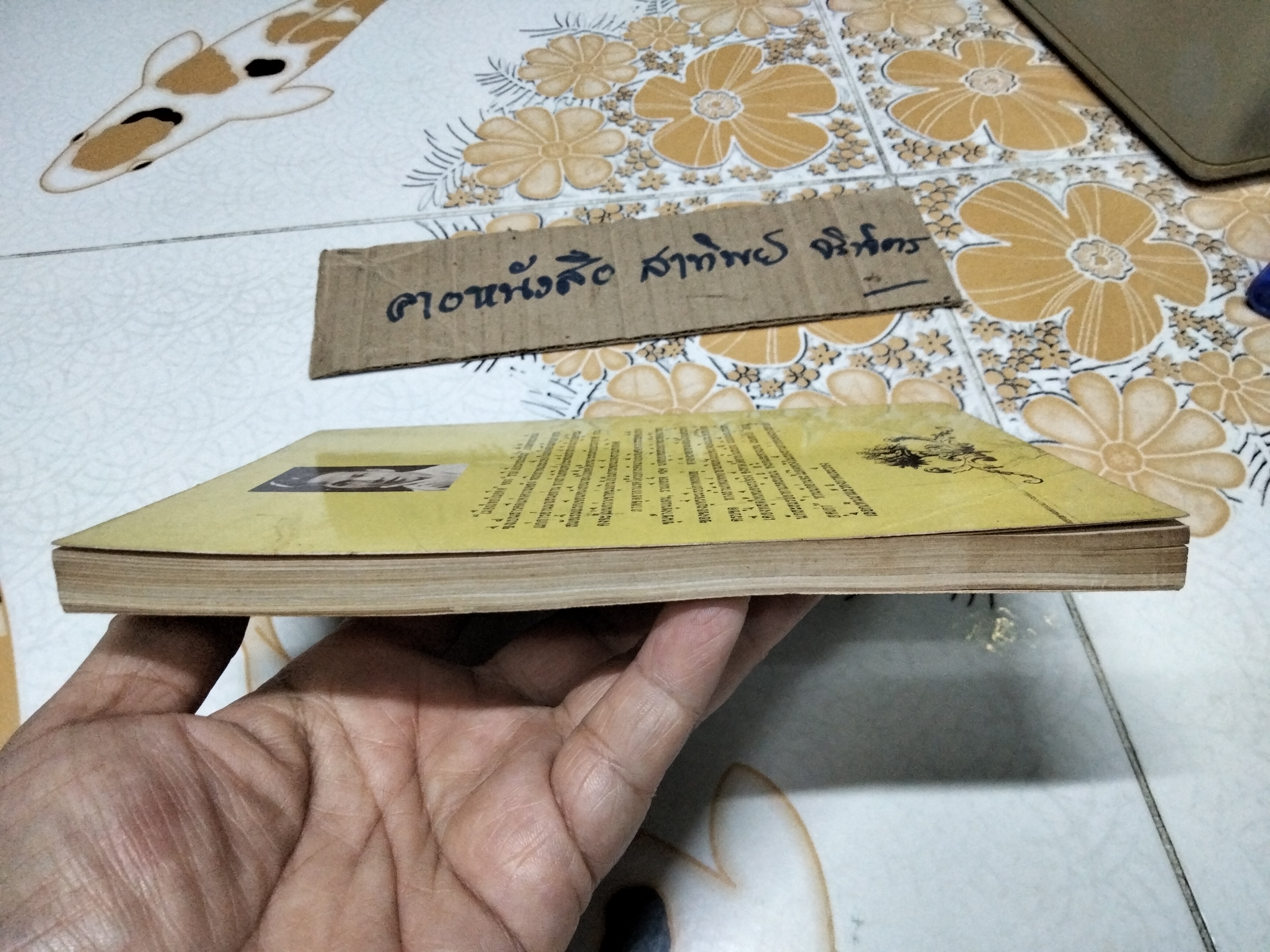 เมืองไทยในอดีต โดย ชาลี เอี่ยมกระสินธุ์