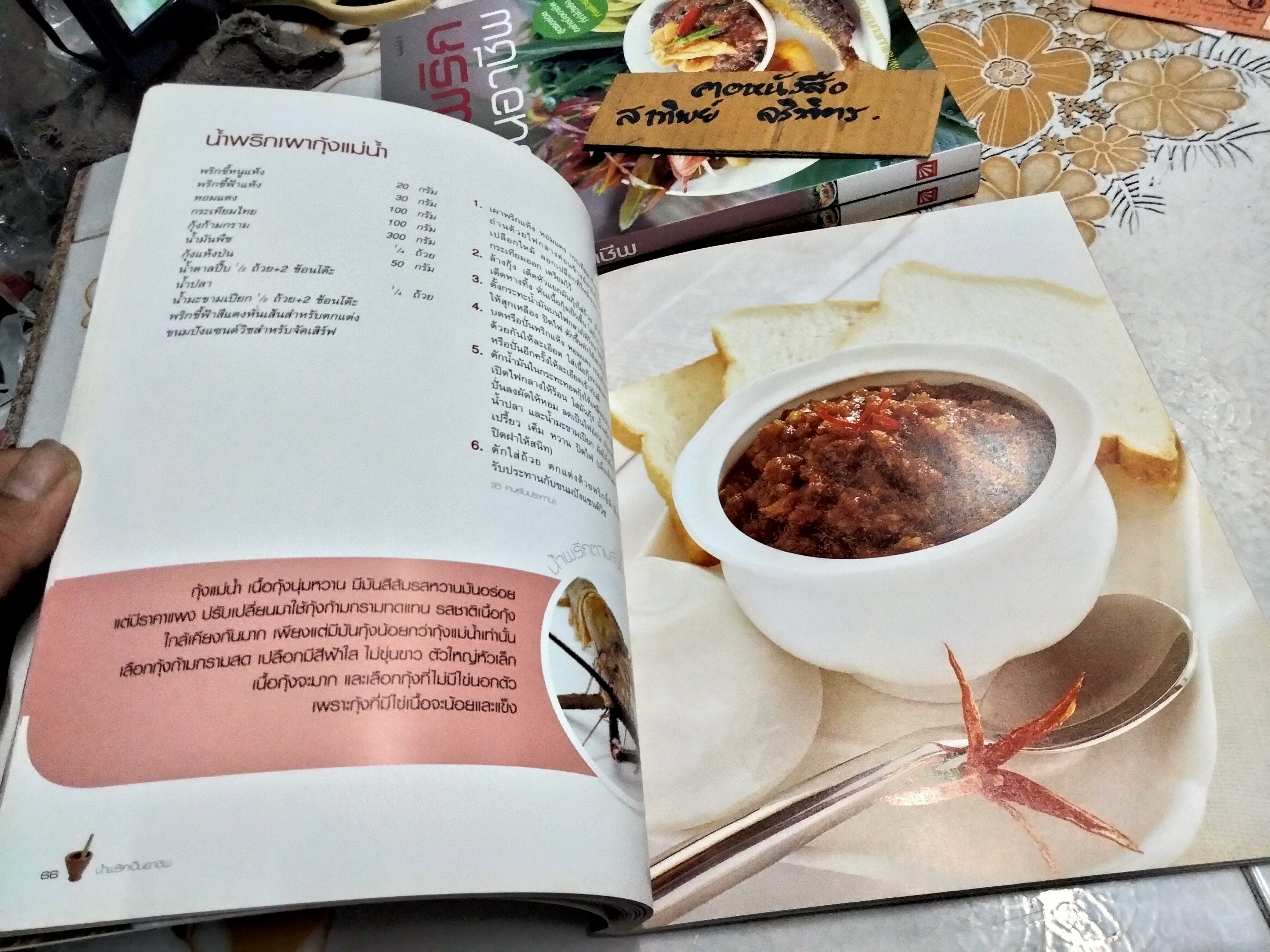 น้ำพริกเป็นอาชีพ สนพ.แสงแดด