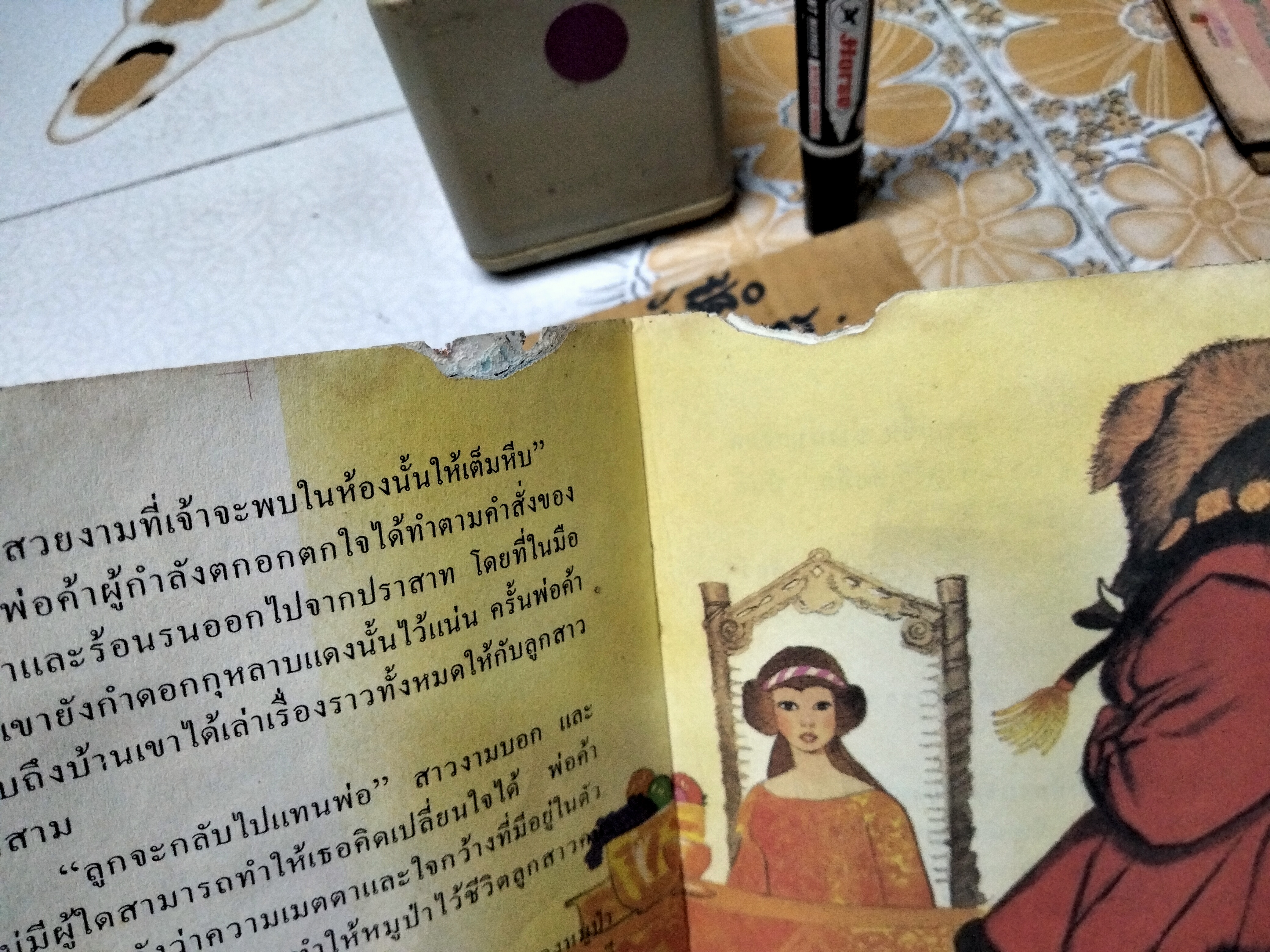 เจ้าชายหมูป่า - นิทานสำนักพิมพ์สตรอเบอรี่ (ตำหนิ-มีรอยปลวกกิน) **สินค้าหมด**