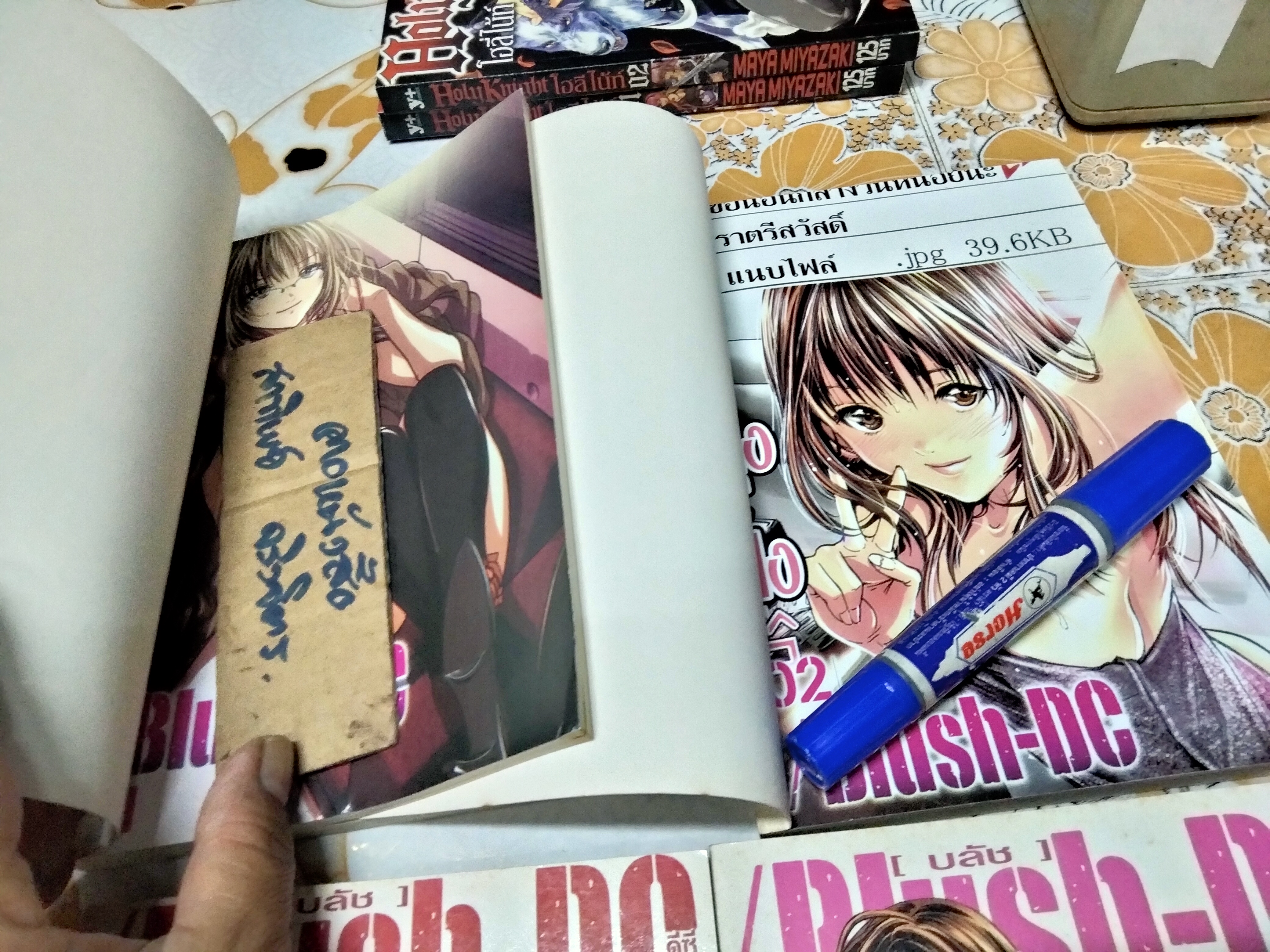 บลัช ดีซี Blush DC (4 เล่มจบ) การ์ตูน 18+