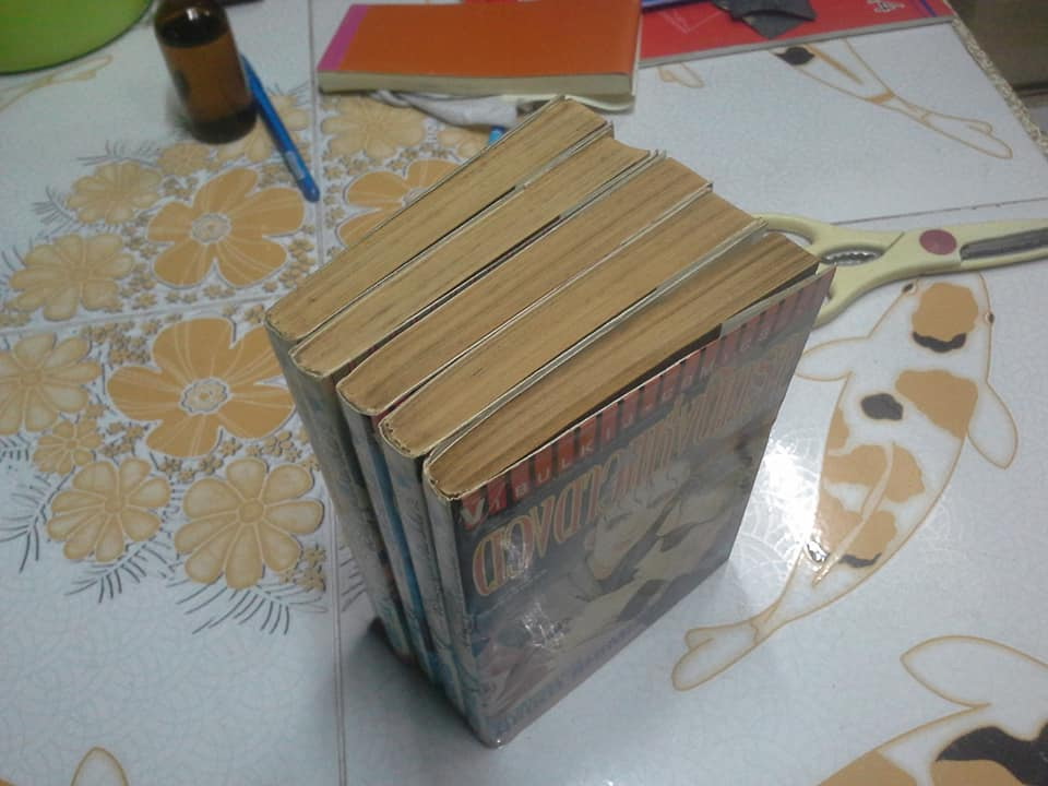 ดวงดาวแห่งนิทรา (5 เล่มจบ) - หนังสือเช่า