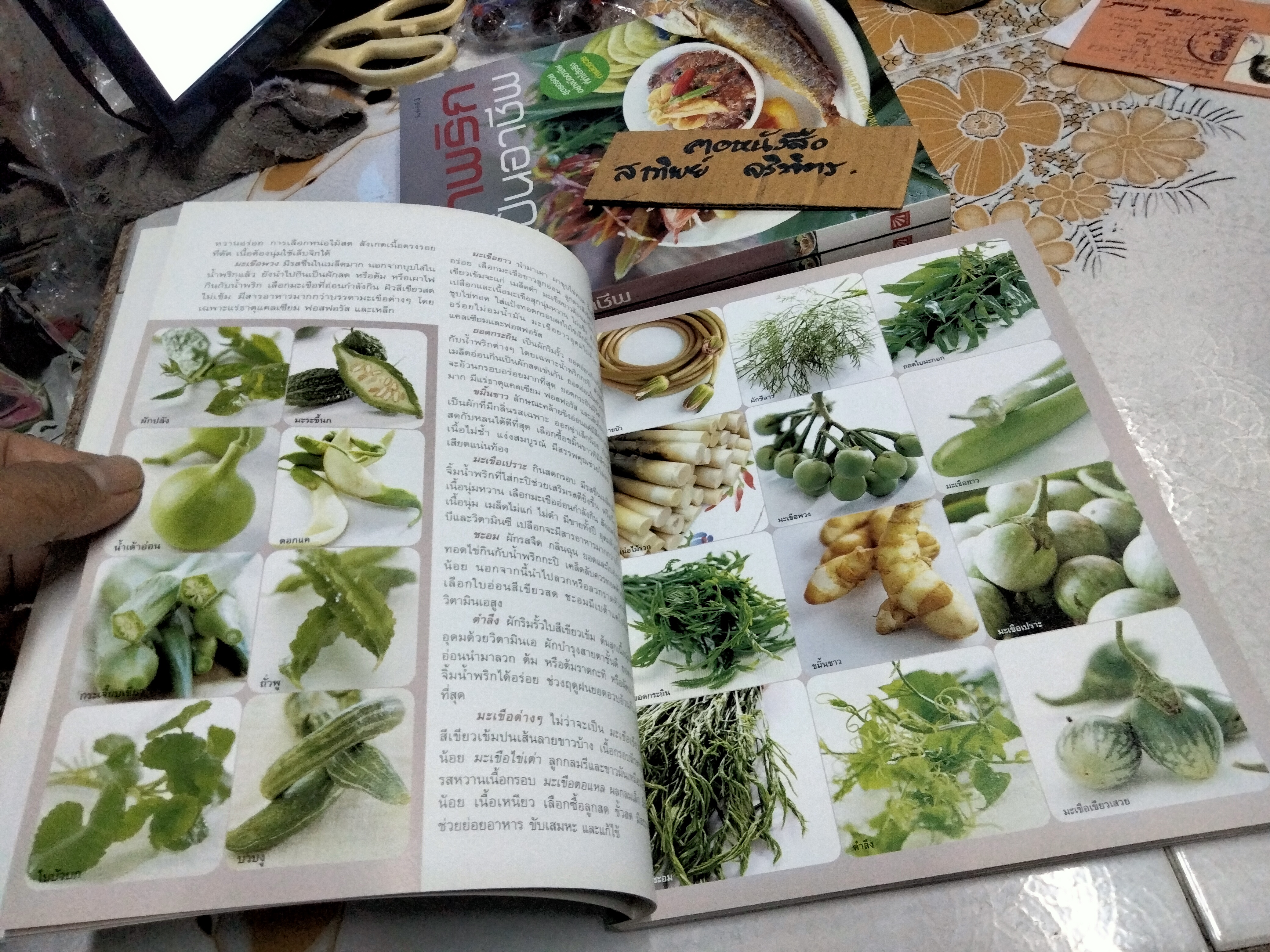 น้ำพริกเป็นอาชีพ สนพ.แสงแดด