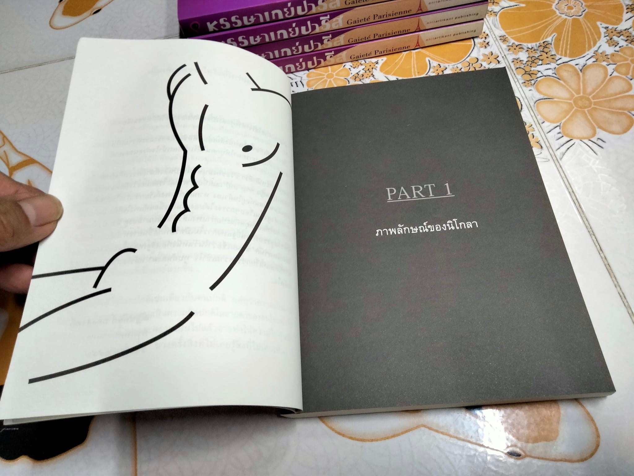 หรรษาเกย์ปารีส Gaieté Parisienne - เบอร์นัวต์ ดูเติร์ด เขียน, ณัฐปคัลภ์ ทองสวัสดิ์ แปล