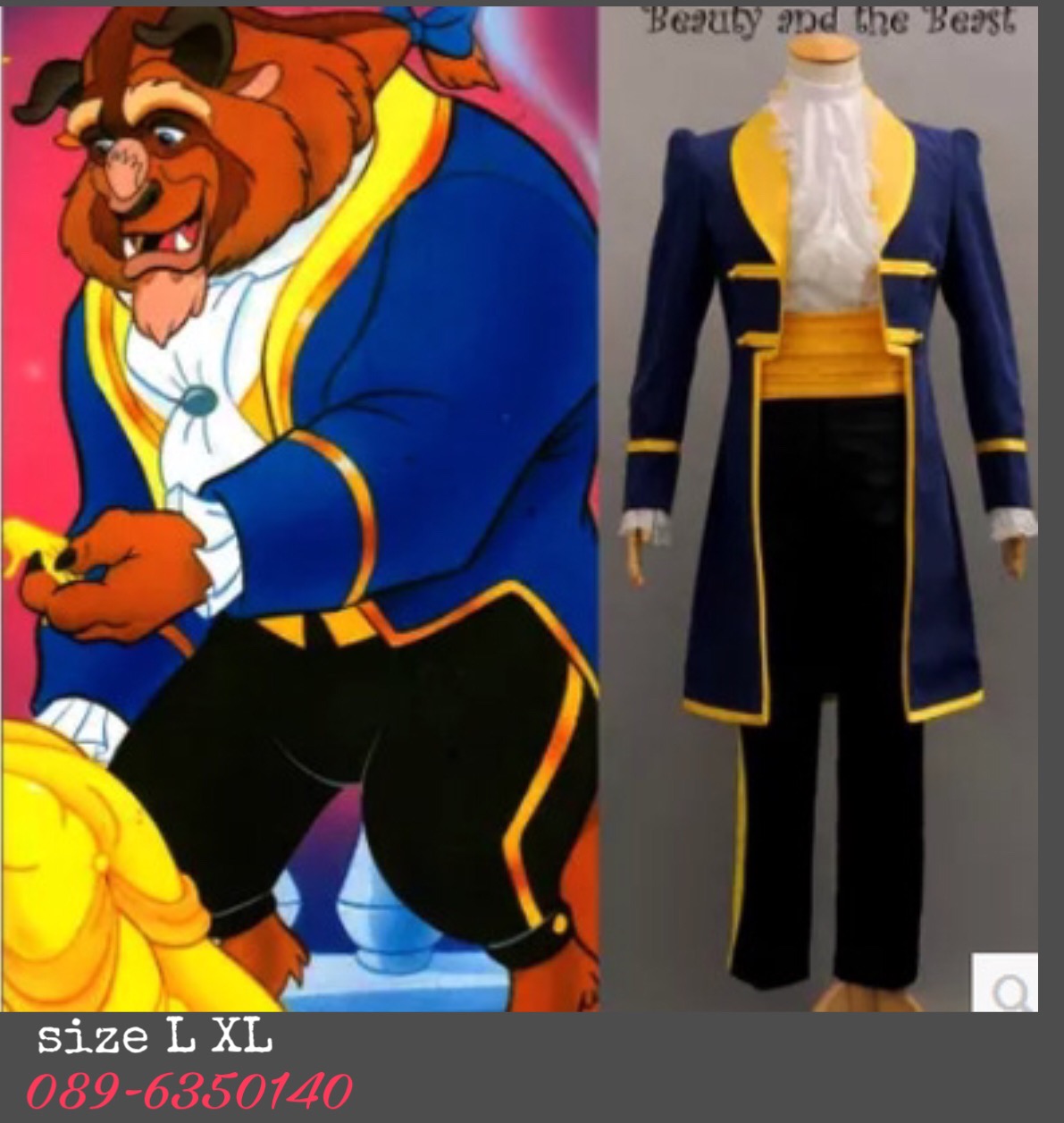 ชุดเจ้าชายอสูร เรื่องBeauty and the Beasta