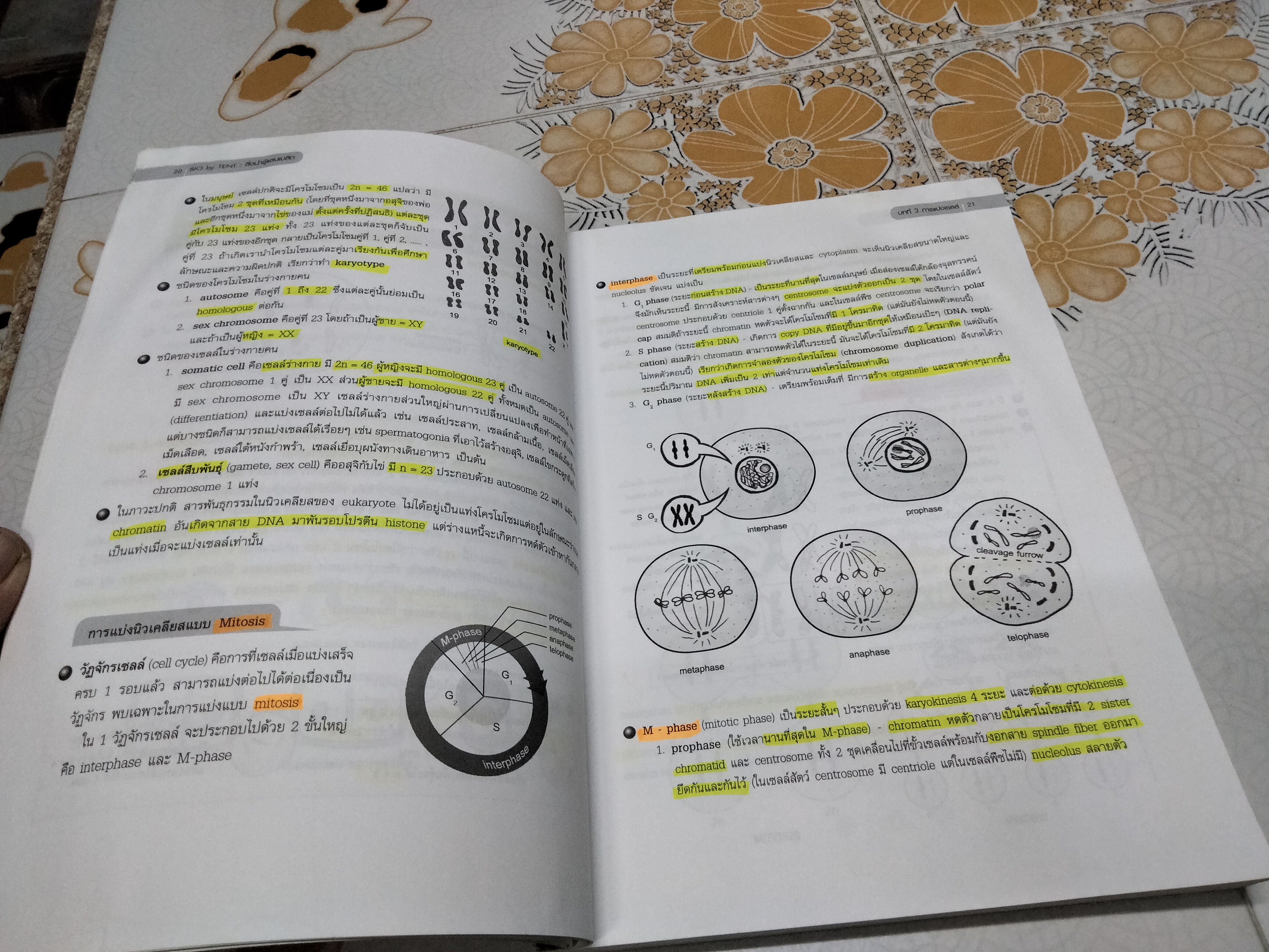 หนังสือชีววิทยา (ปกเต่าทอง) เล่มสีเลือดหมู โดย จิรัสย์ เจนพาณิชย์ **สินค้าหมด**