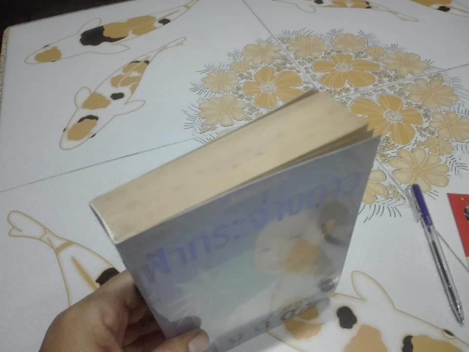 ฟ้ากระจ่างดาว (เล่มเดียวจบ) โดย กิ่งฉัตร