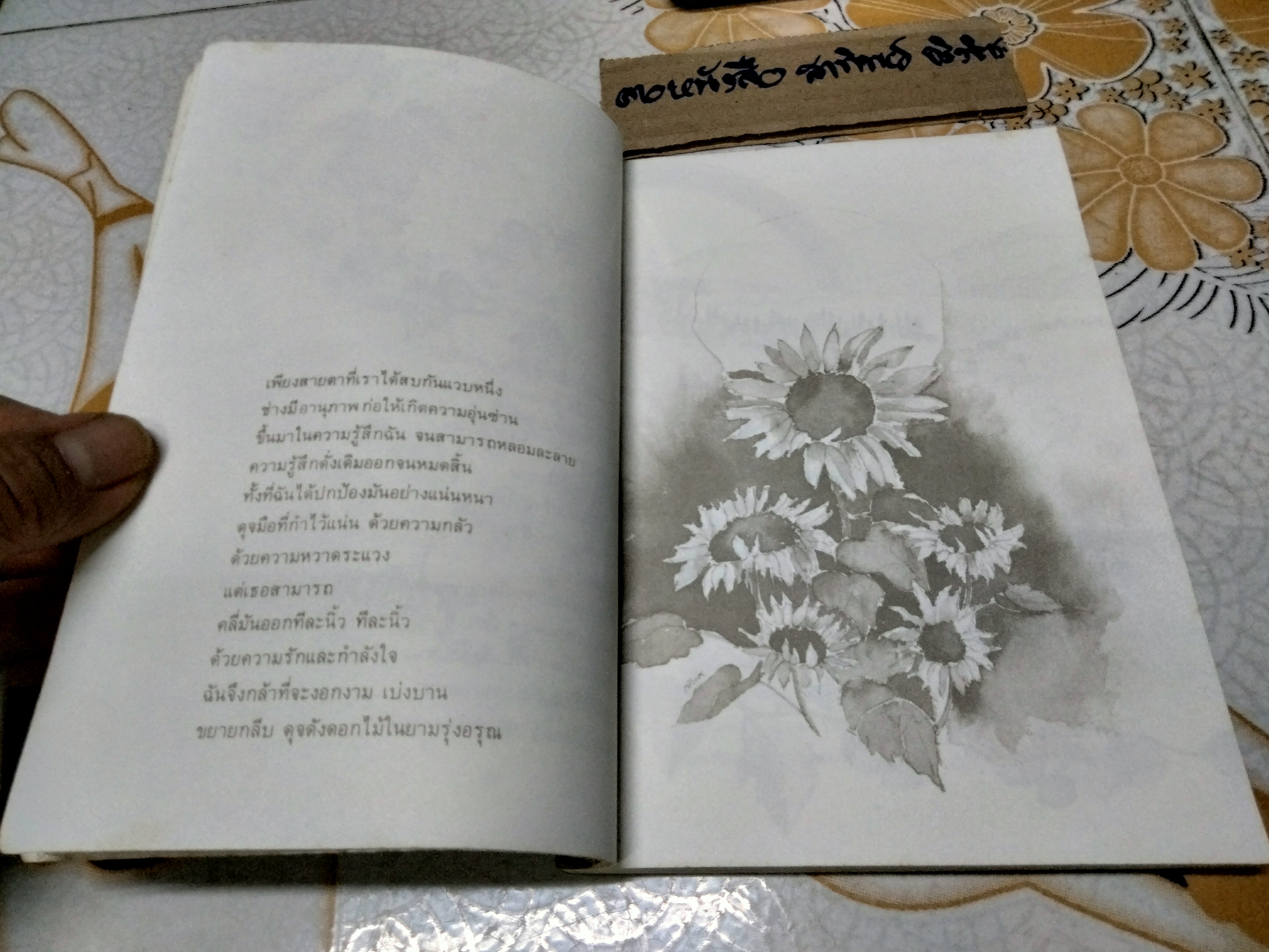 ค้นหาตัวเอง โดย นวลศิริ เปาโรหิตย์ ภาพโดย อดิพร โอภาศชาติ พิมพ์ครั้งที่ 3 สนพ.แสงแดด **สินค้าหมด**