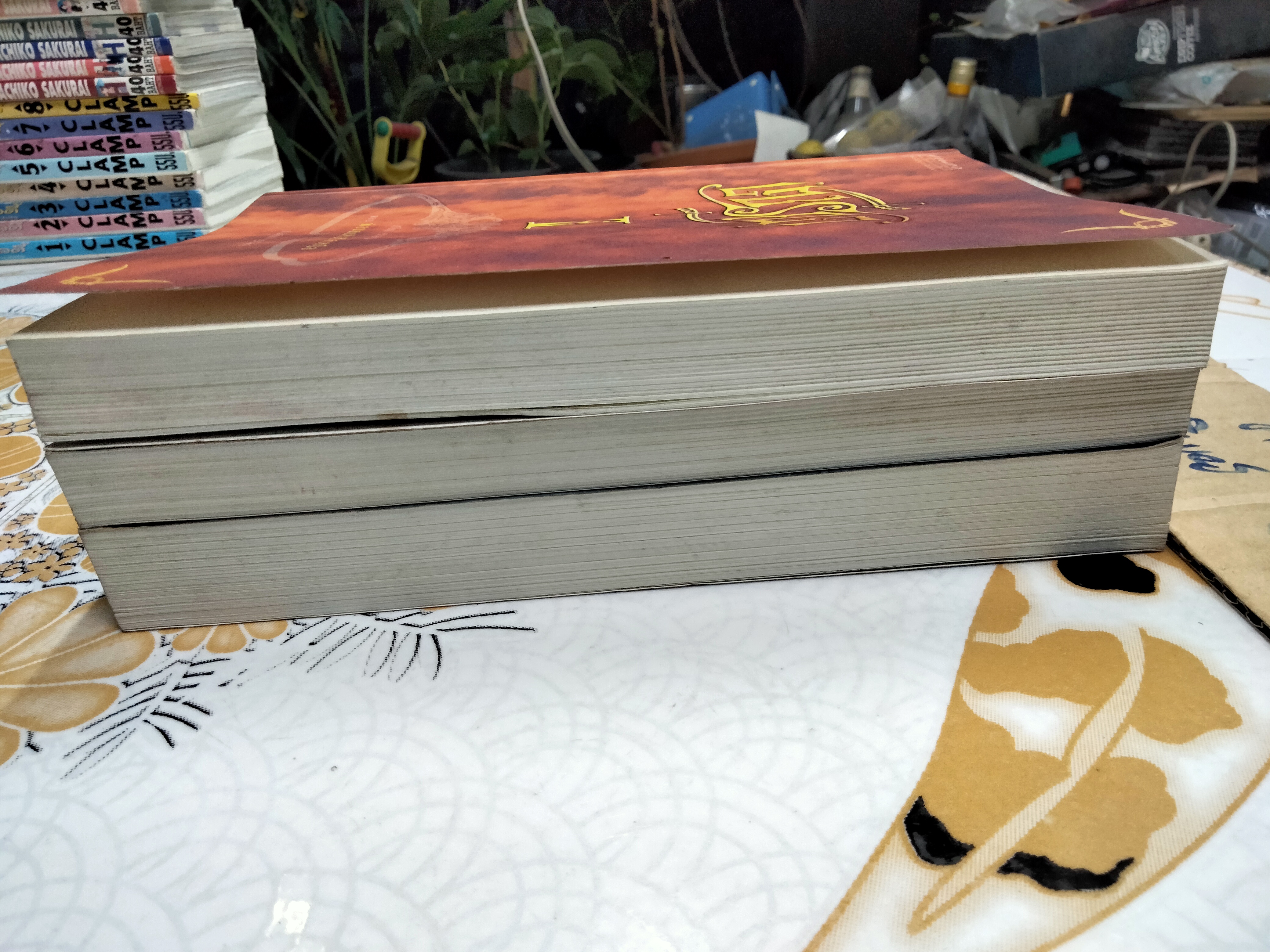 วรรณกรรมเยาวชน เซรีญา (3 เล่มจบ-พิมพ์แรก พ.ศ.2548) โดย พัณณิดา ภูมิวัฒน์