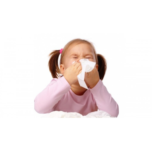 ChildLife® Essentials, Echinacea Natural Orange Flavor 29.6mL สมุนไพรเอ็กไคนาเซียสกัด ชนิดน้ำ รสส้ม วิตามินเสริมภูมิ