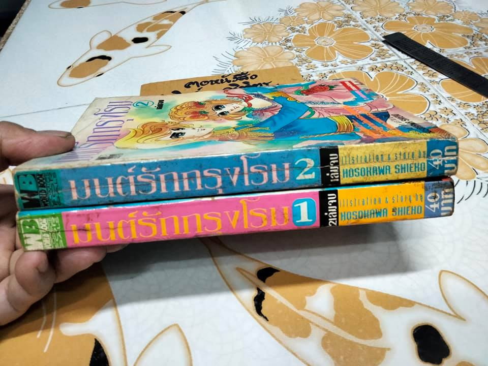 มนต์รักกรุงโรม 2 เล่มจบ - HOSOKAWA SHIEKO **สินค้าหมด**