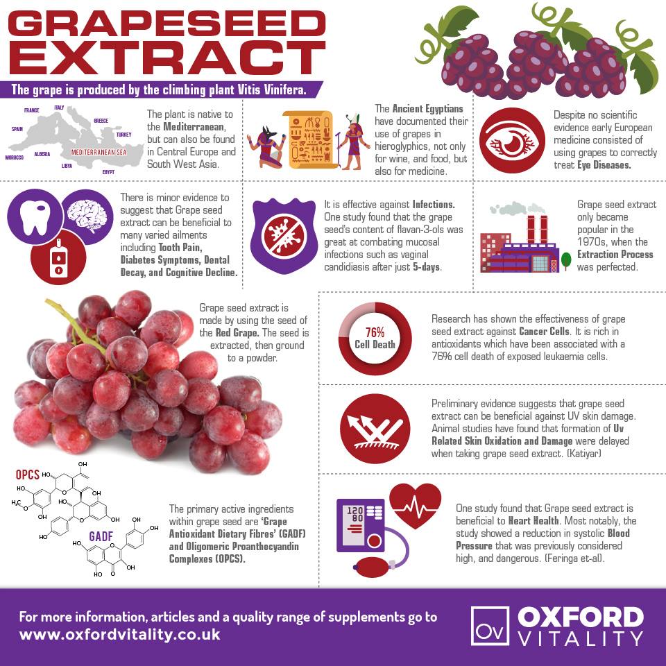 (Pre Order) 21st Century® Standardized Grape Seed Extract 50mg 200 Veggie Caps สารสกัดจากเมล็ดองุ่น