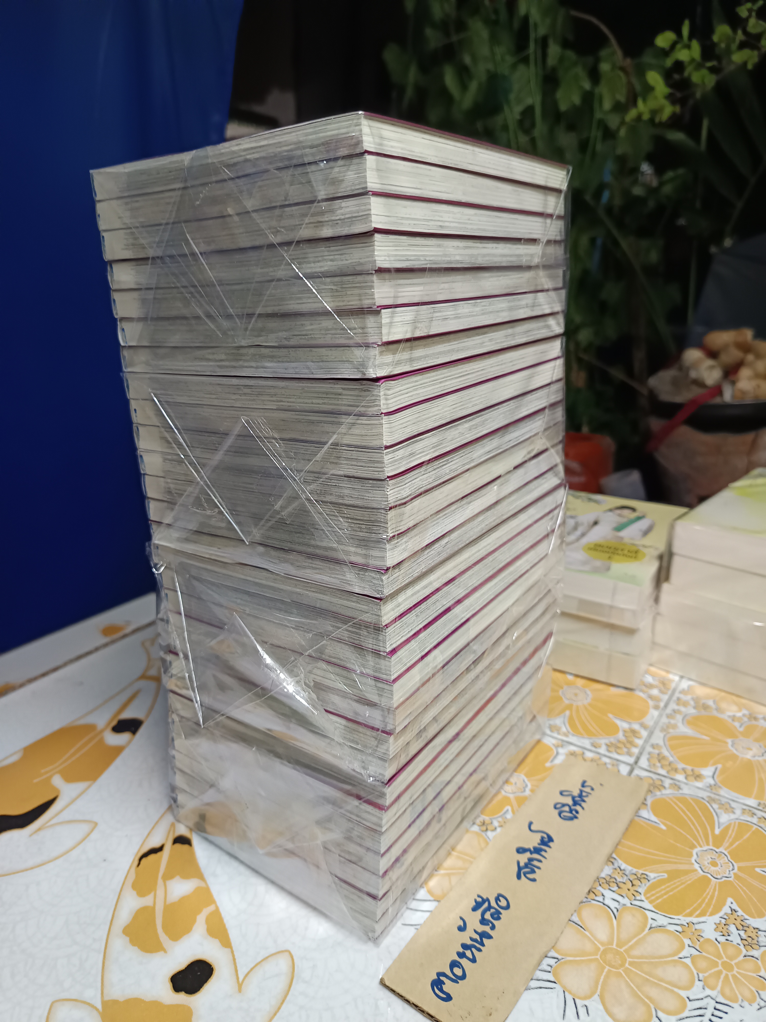 ตะวันรักที่ปลายฟ้า (พิมพ์ใหม่) 28 เล่มจบ CHIE SHINOHARA Siam Inter Comics