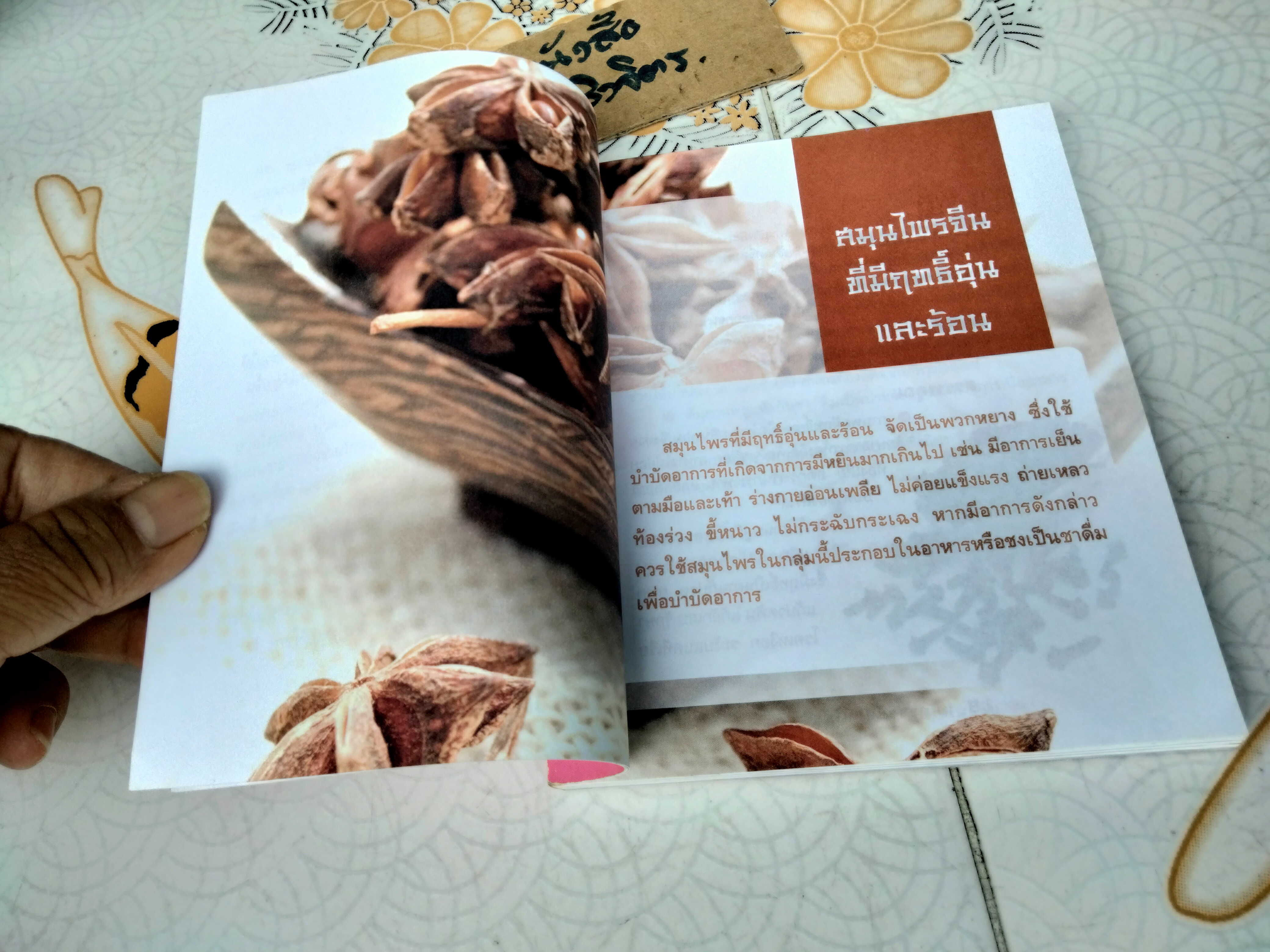 มหัศจรรย์ สมุนไพรจีน - หนังสืออภินันทนาการ โดย บ.หลักทรัพย์จัดการกองทุน กสิกรไทย จำกัด