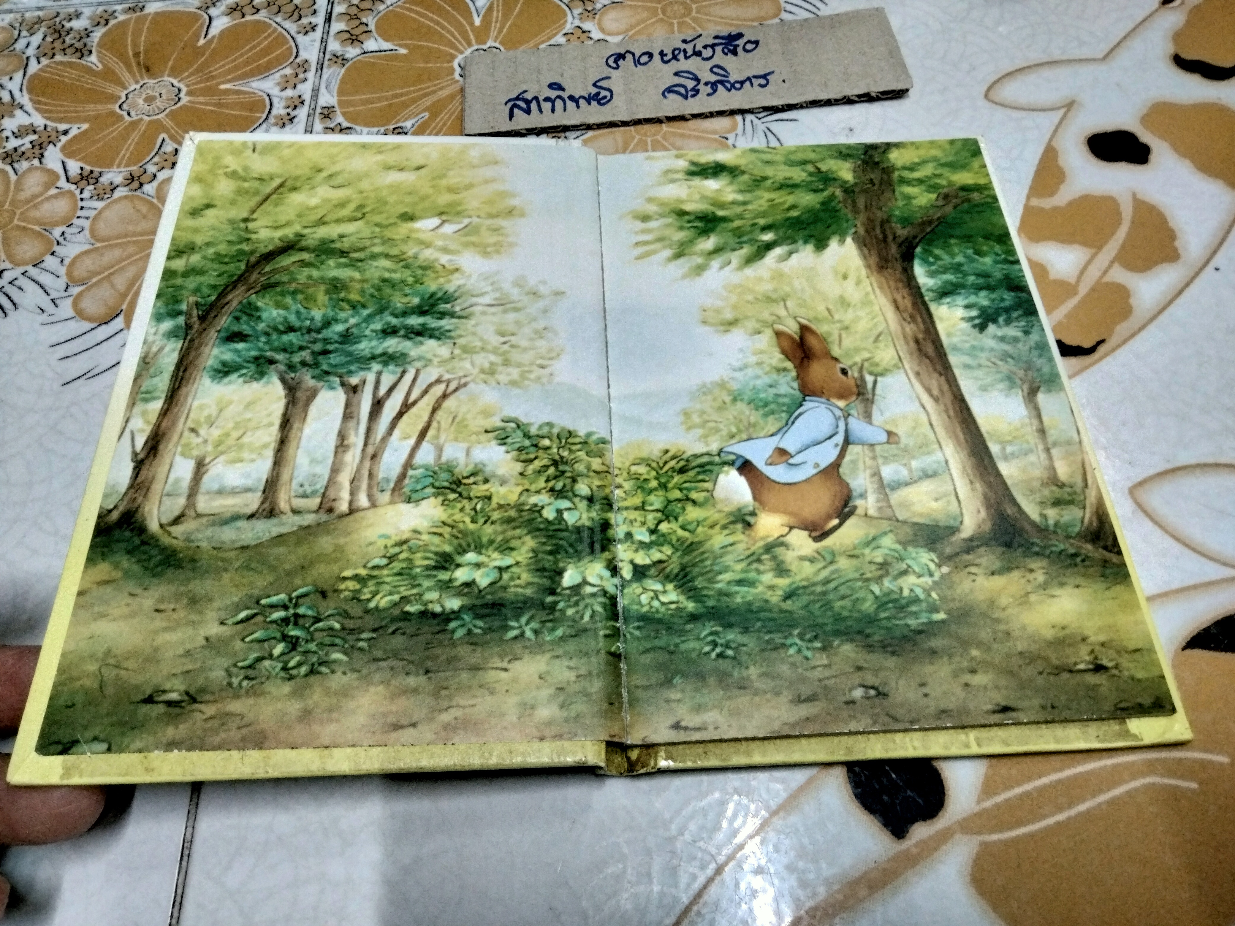 The Tales of Peter Rabbit, Beatrix Potter, Ladybird Books Ltd., **สินค้าหมด**
