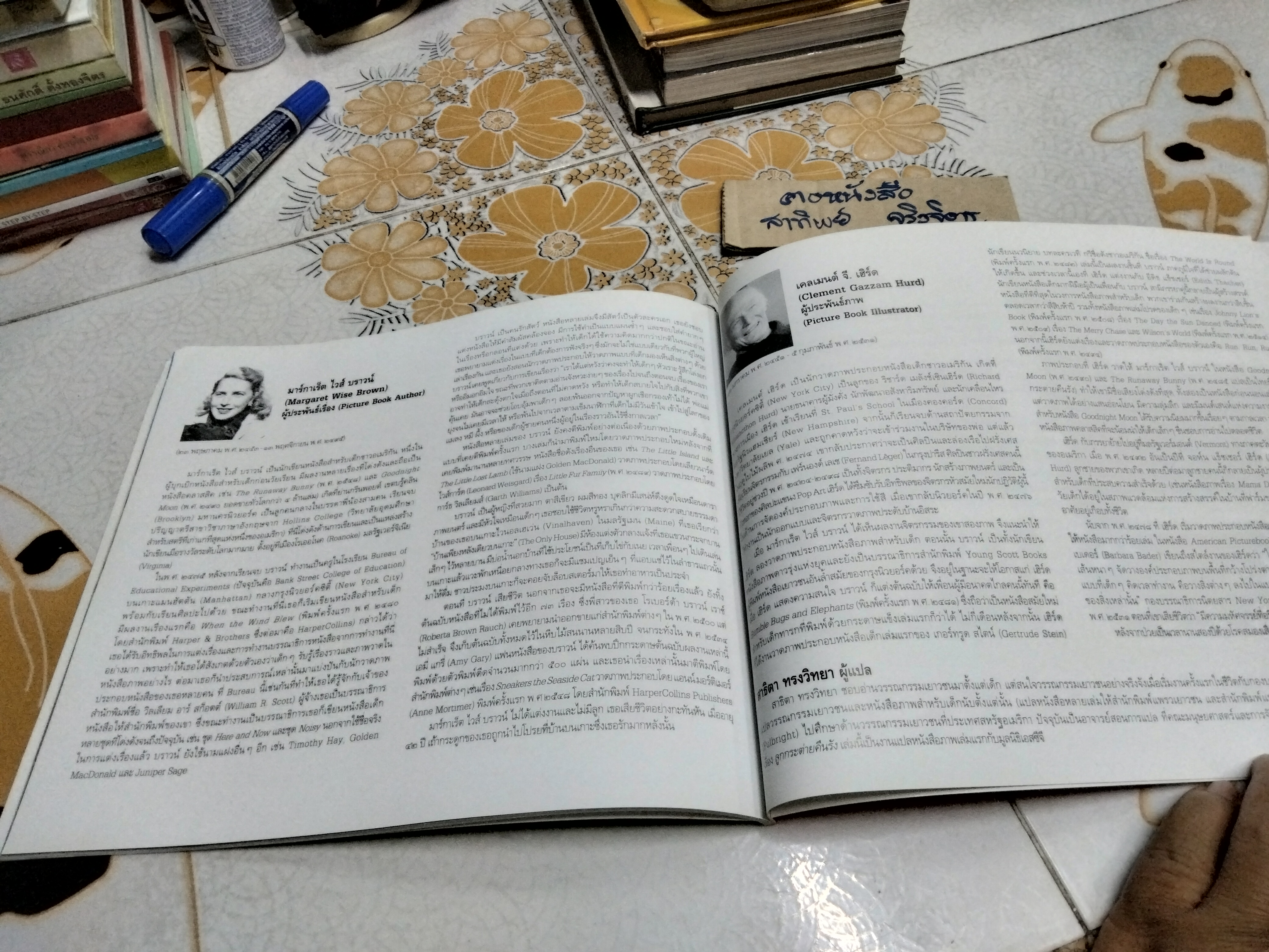 ลูกกระต่ายคืนรัง - มาร์กาเร็ต ไวส์ บราวน์ เรื่อง , เคลเมนต์ เฮิร์ด ภาพ - สาธิตา ทรงวิทยา แปล (นิทาน SCG) **สินค้าหมด**