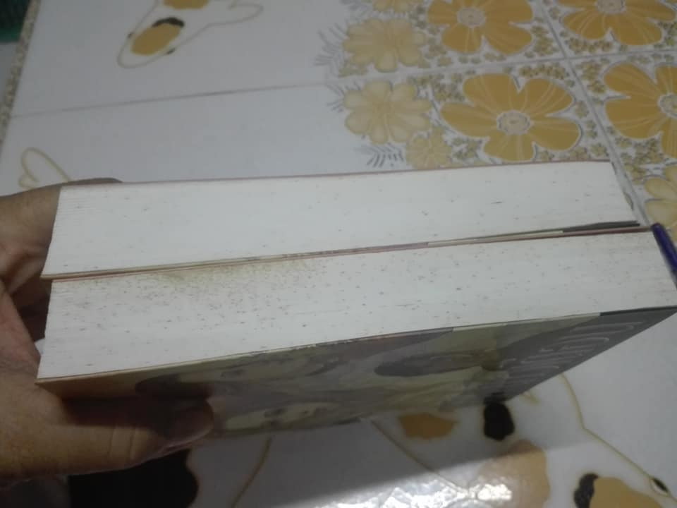 ดั่งดาวเดือน (2 เล่มจบ) โดย ช่อลัดา