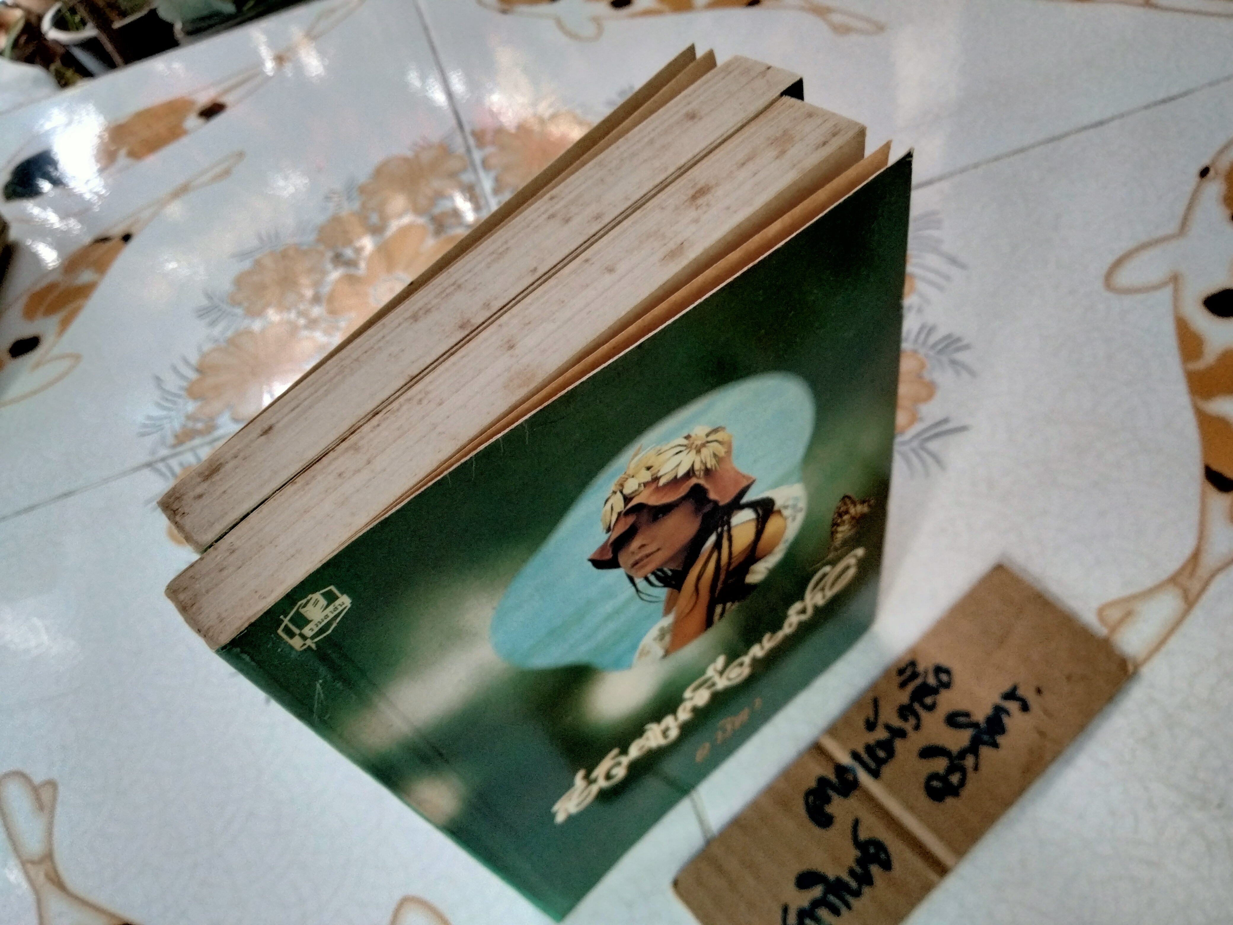 ชีวิตเหมือนฝัน ( 2 เล่มจบ) อาริตา