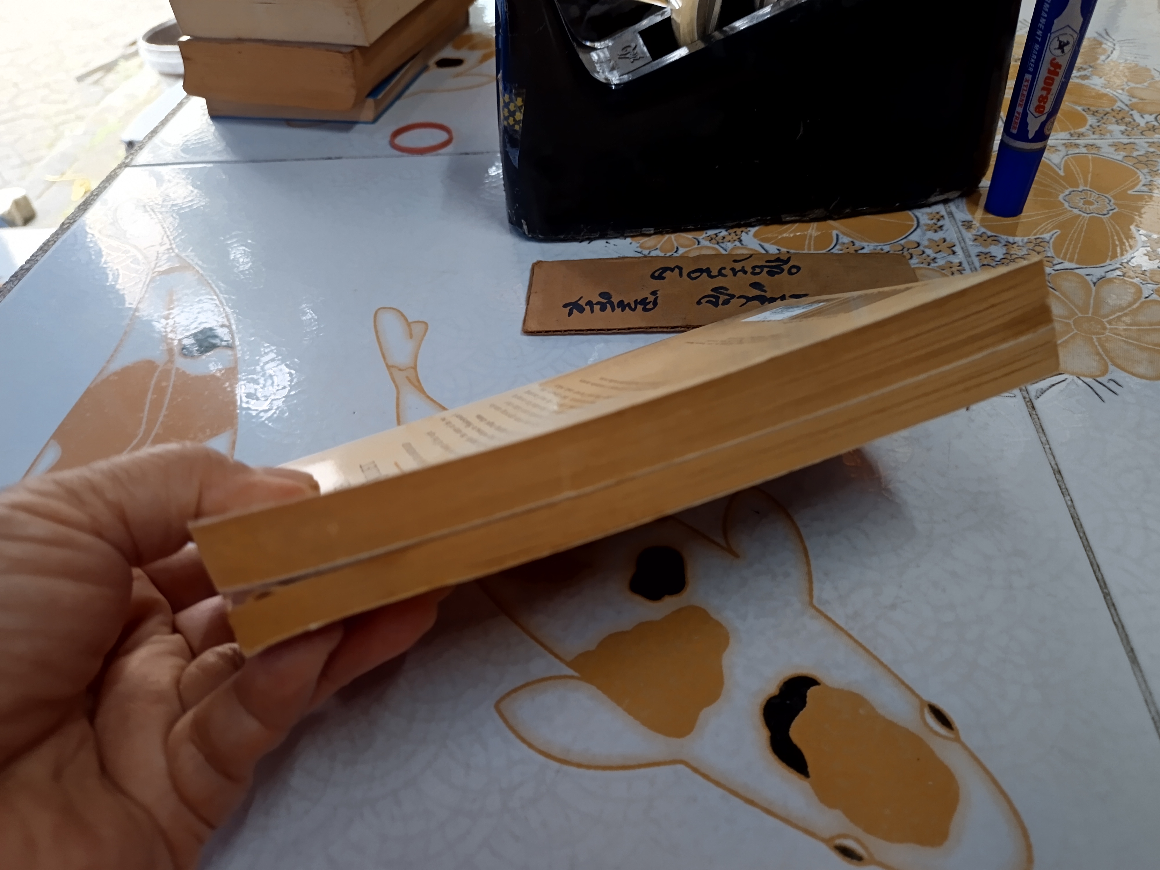 (ขายรวม 2 เล่ม) Romeo and Juliet + A Midsummer Night's Dream / Penguin popular classics / Poetry & Play