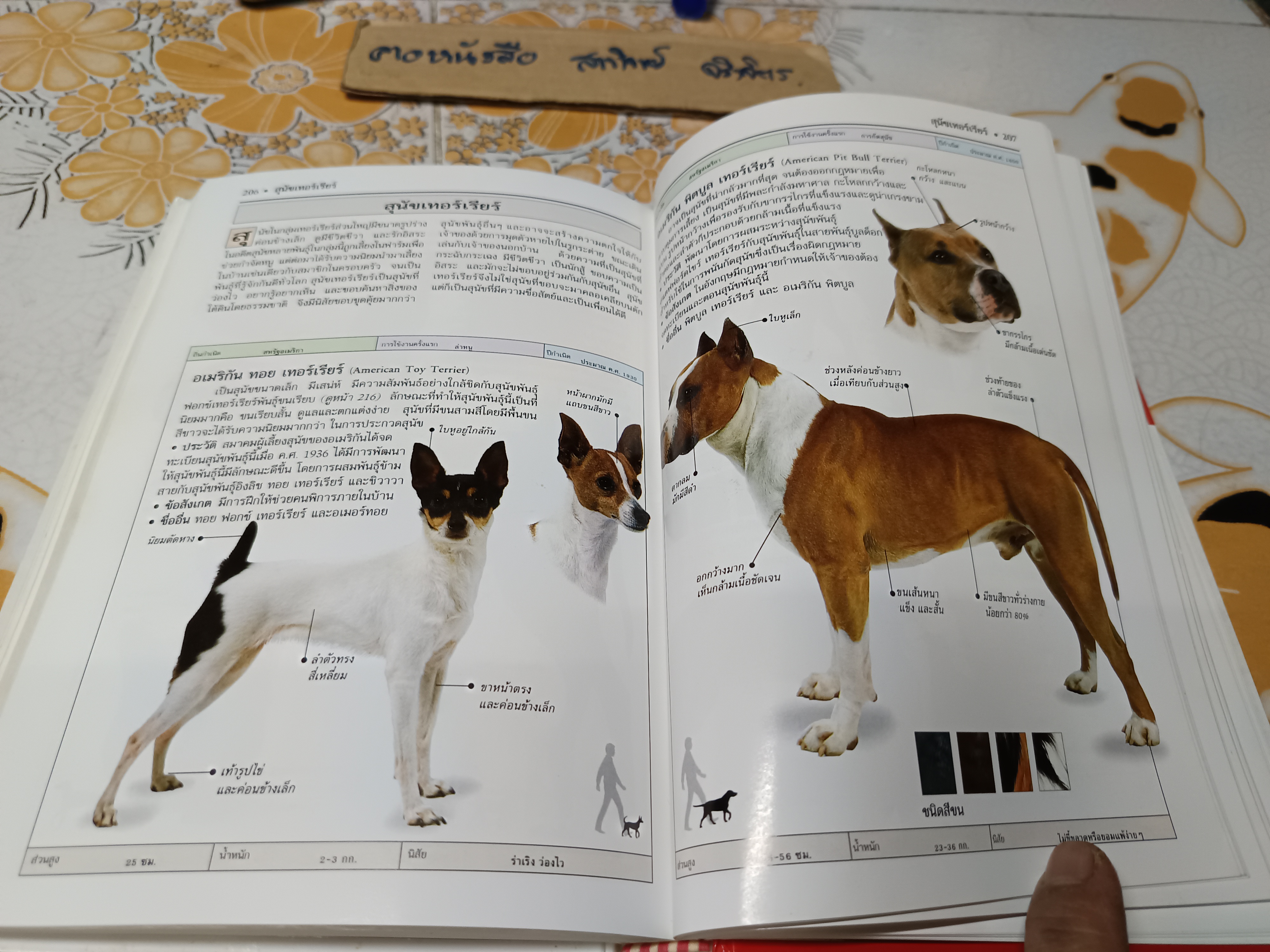 สุนัข คู่มือแนะนำสุนัขพันธุ์ต่างๆ มากกว่า 300 พันธุ์จากทั่วโลก โดย David Alderton (ปกแข็ง) **สินค้าหมด**