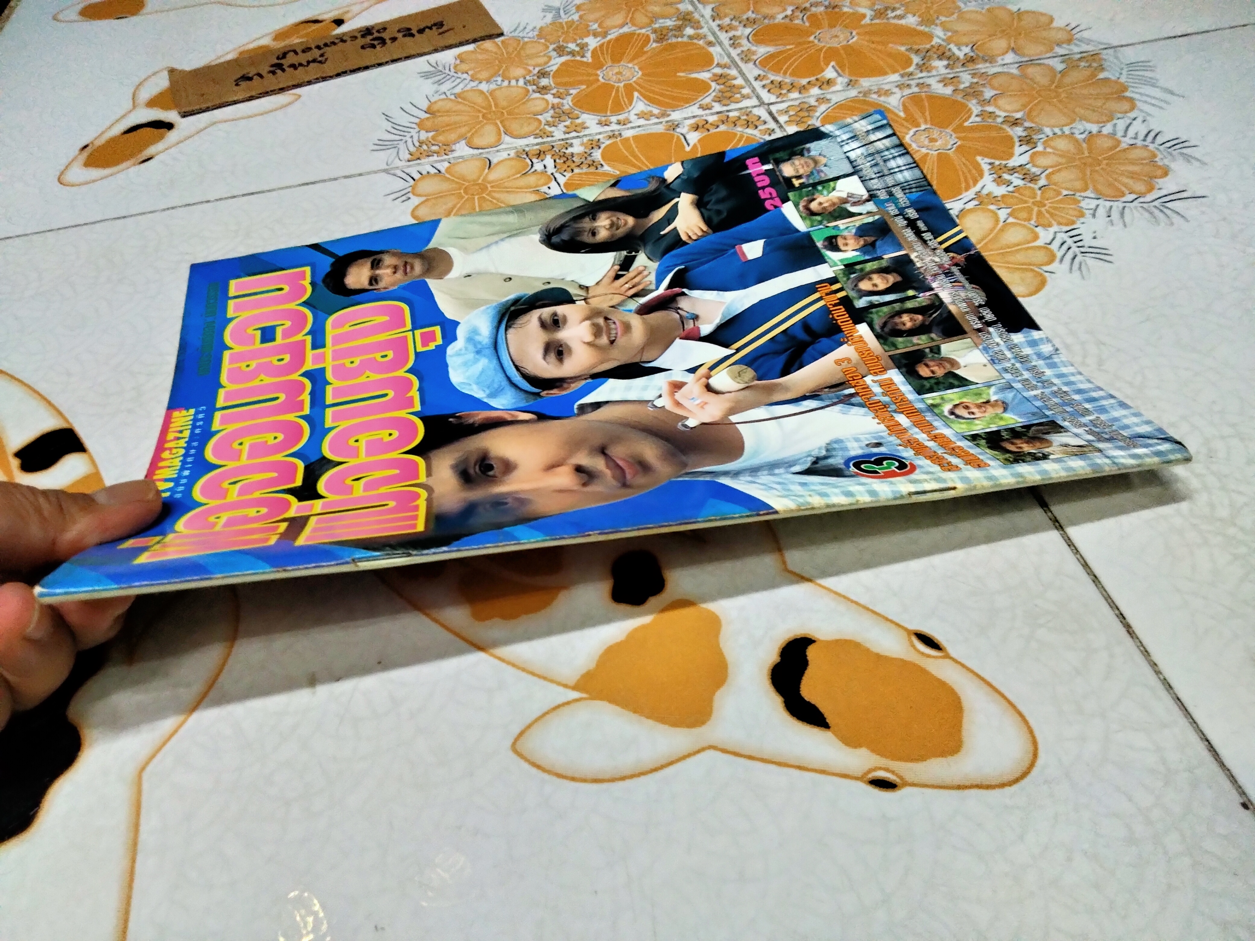 พ่อจอมยวนแม่จอมยุ่ง - นิตยสารเรื่องย่อละคร **สินค้าหมด**