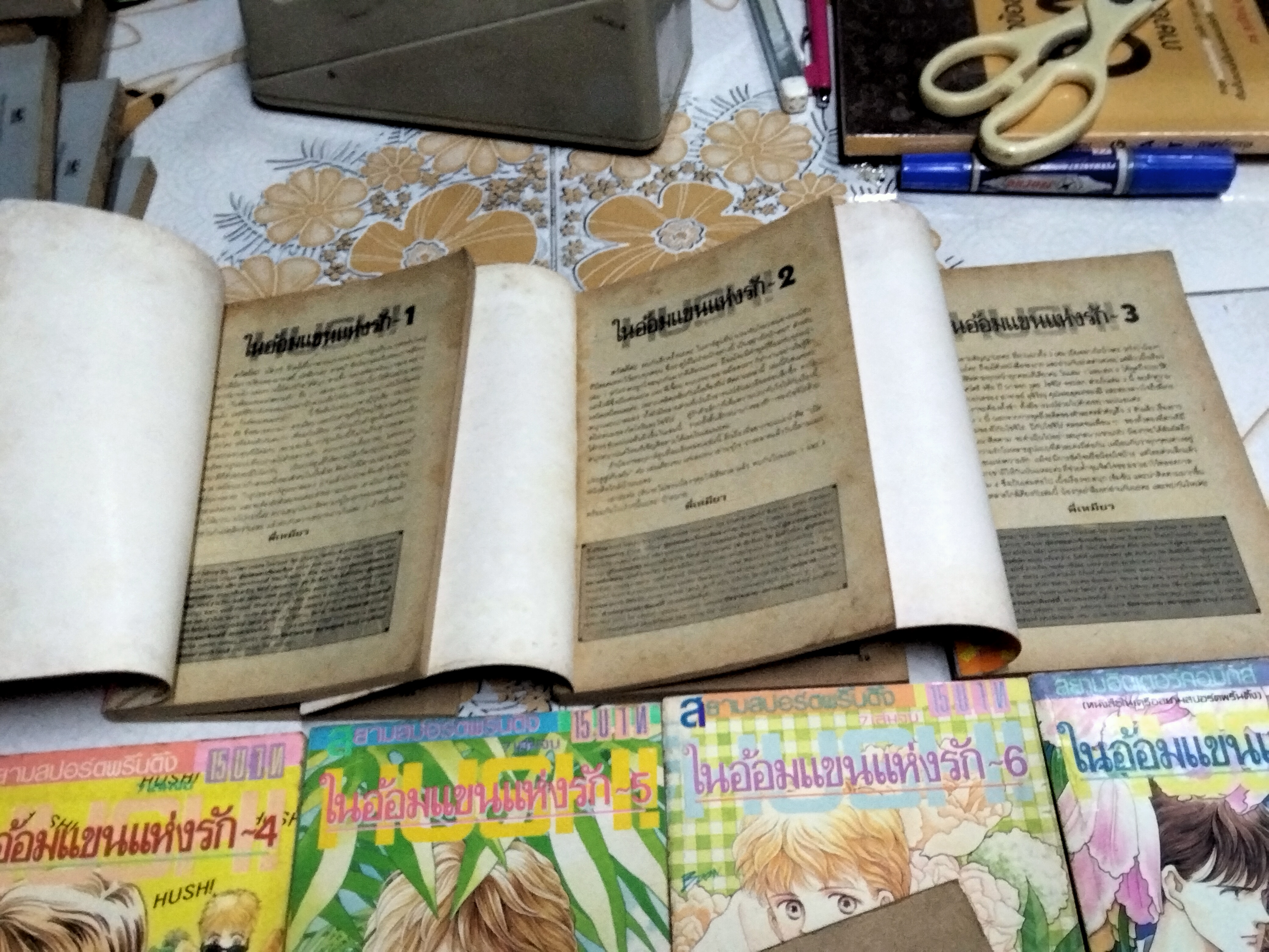 ในอ้อมแขนแห่งรัก (7 เล่มจบ) Matsunae Akemi สำนักพิมพ์ สยามอินเตอร์คอมิกส์