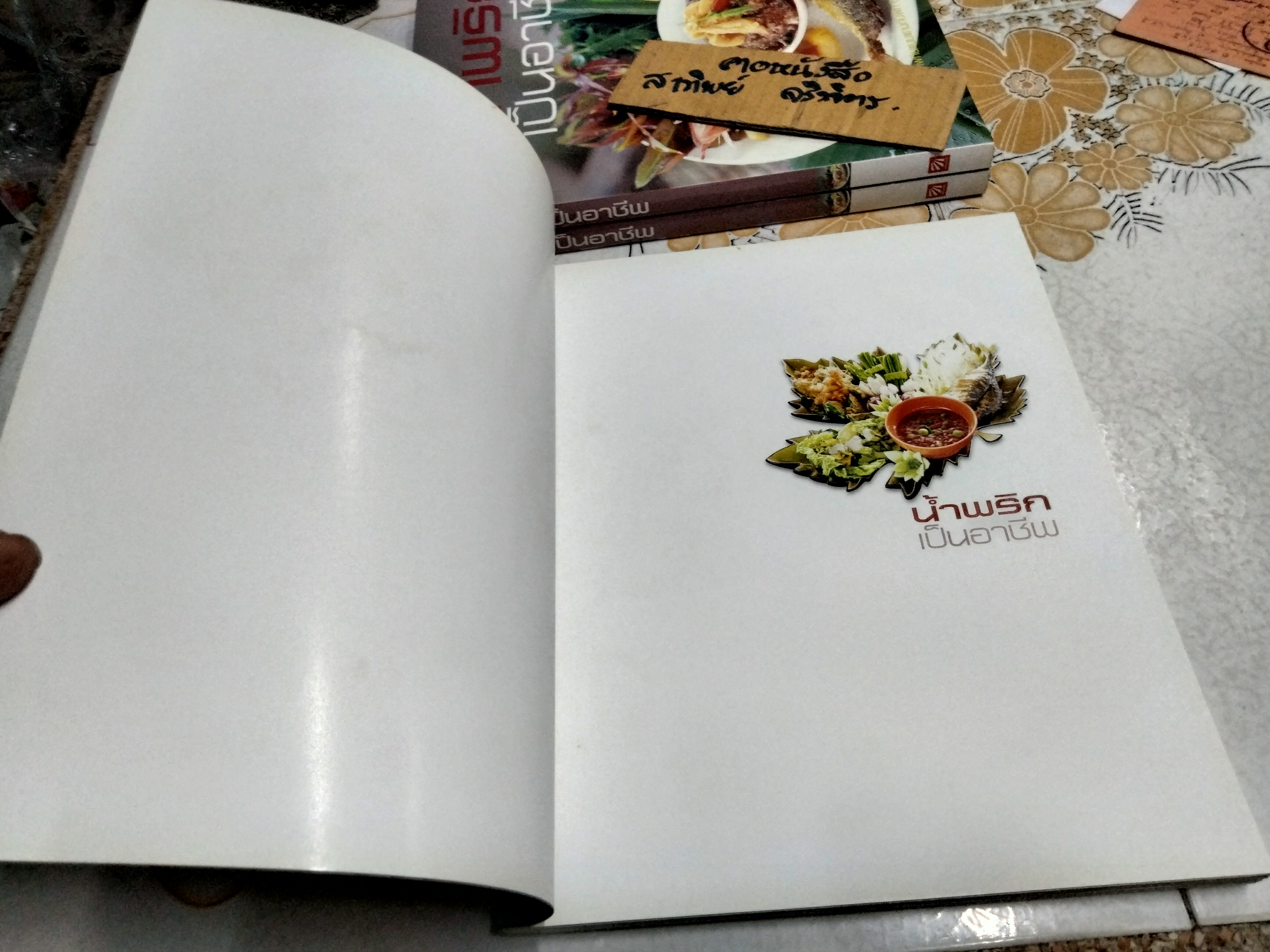 น้ำพริกเป็นอาชีพ สนพ.แสงแดด