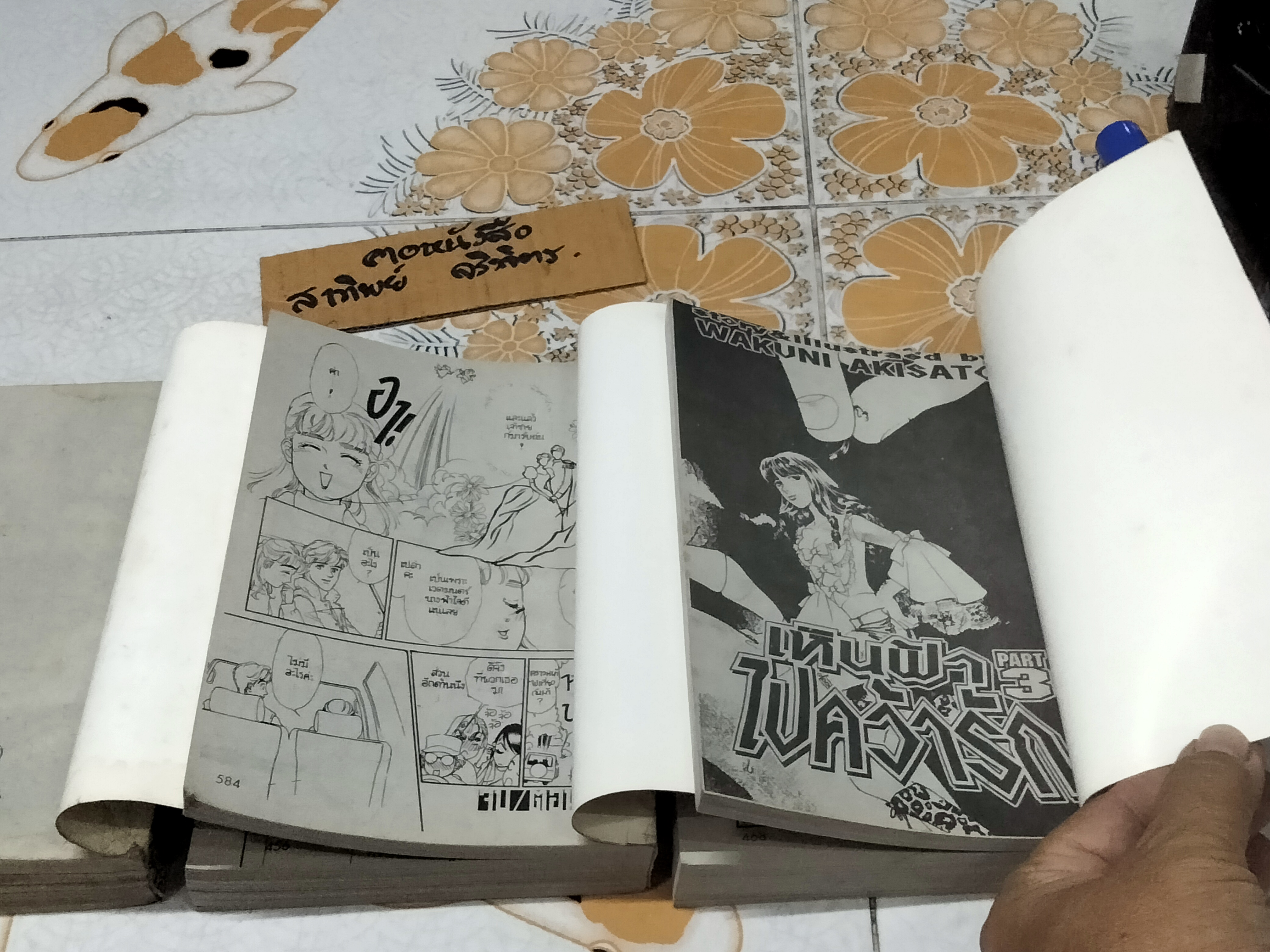 แรงใจในไฟฝัน (3 เล่มจบ - New Project Comics)