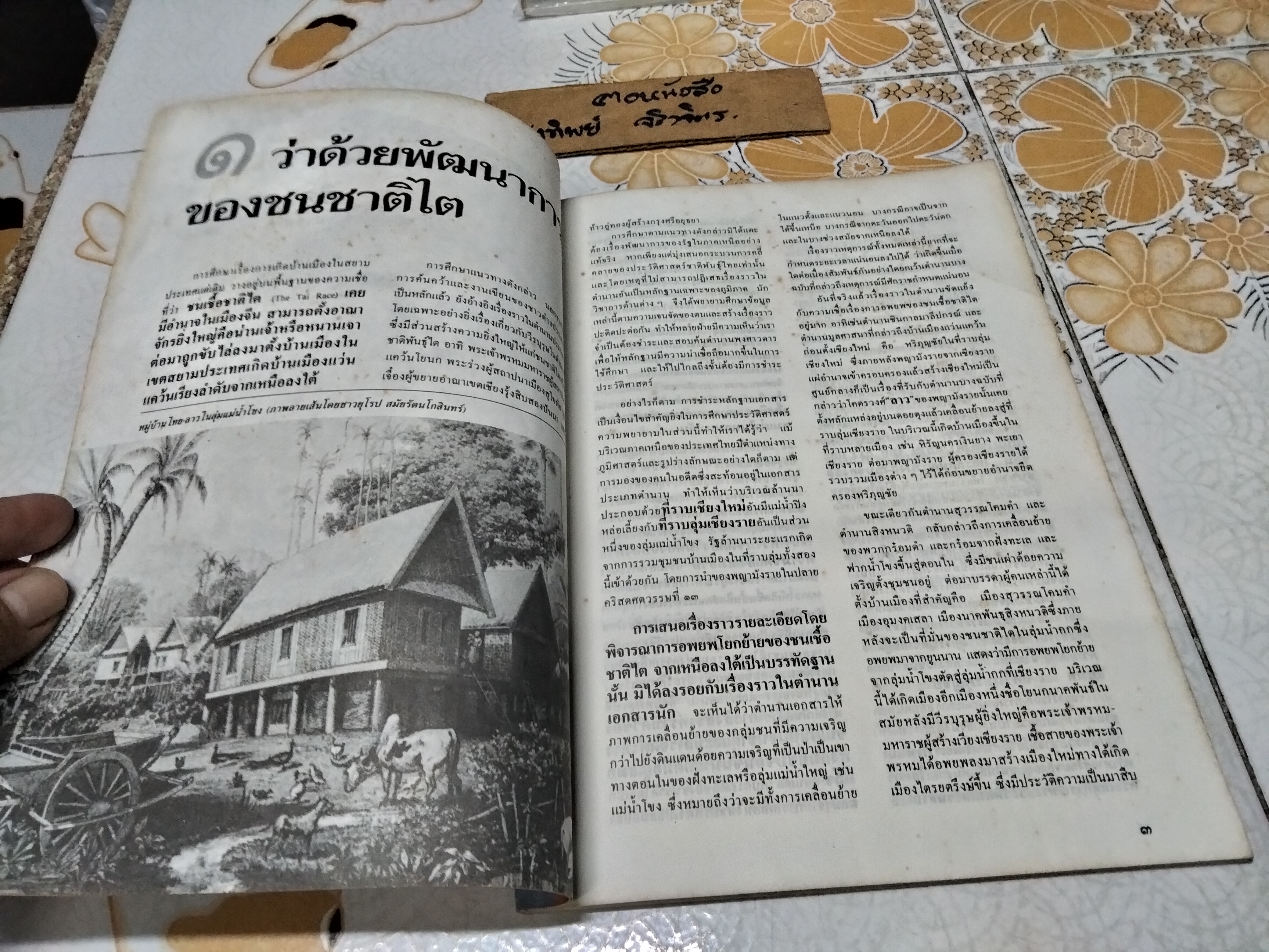 กว่าจะเป็นคนไทย ผลงานของ ธิดา สาระยา พิมพ์ครั้งแรก พ.ศ.2531 ศิลปวัฒนธรรม ฉบับพิเศษ