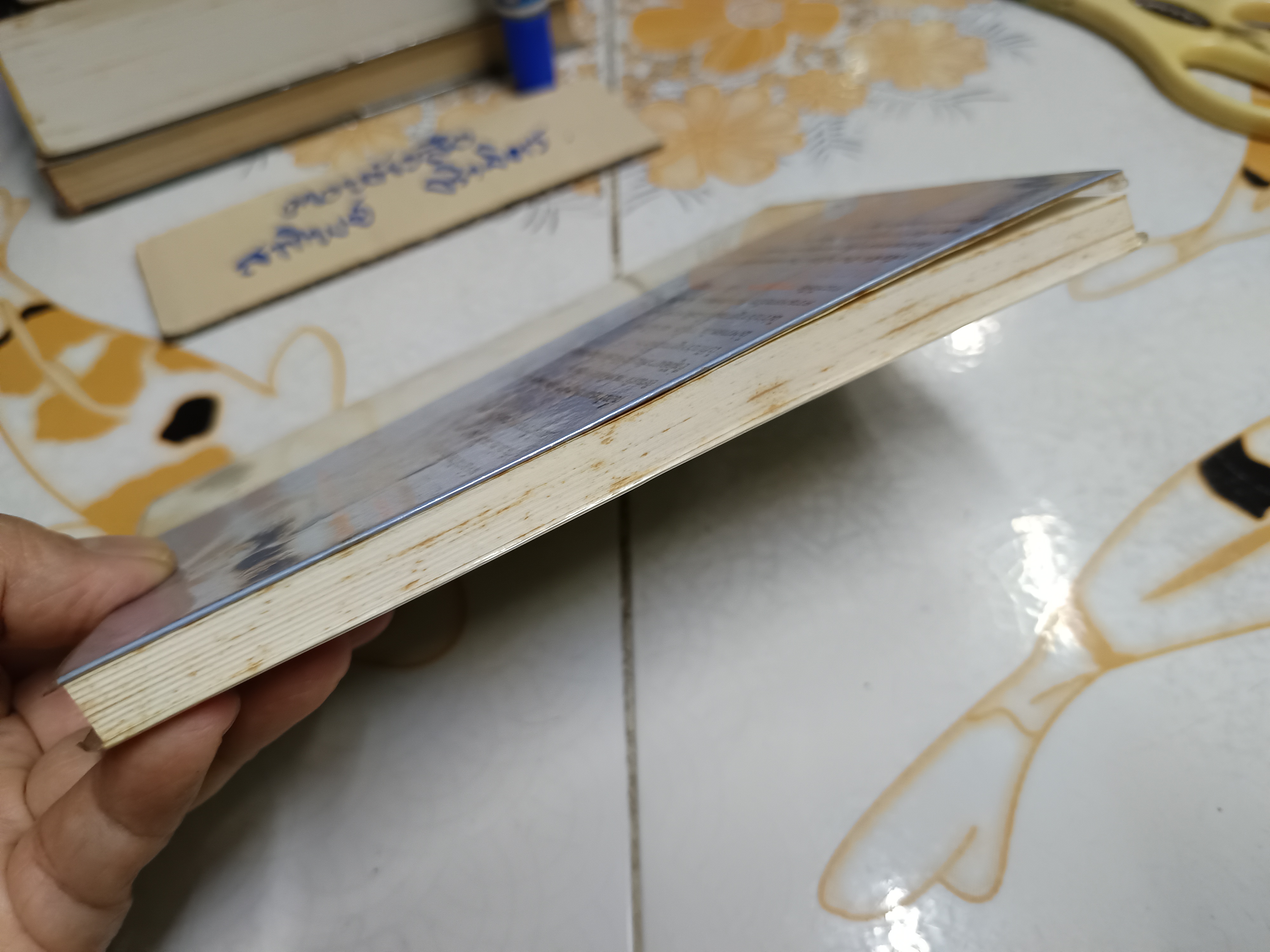 มายา (Illusions) ผลงานของ ริชาร์ด บาค (Richard Bach) แปลโดย ศิริพันธ์ บูรณะวรกุล พิมพ์ 2/2533 ของสำนักพิมพ์ดอกหญ้า