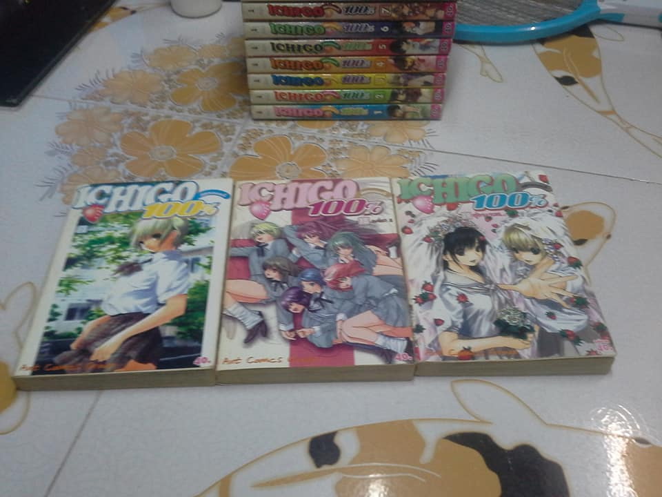 การ์ตูน ICHIGO 100 % - 19 เล่มจบ (สนพ.ANT)