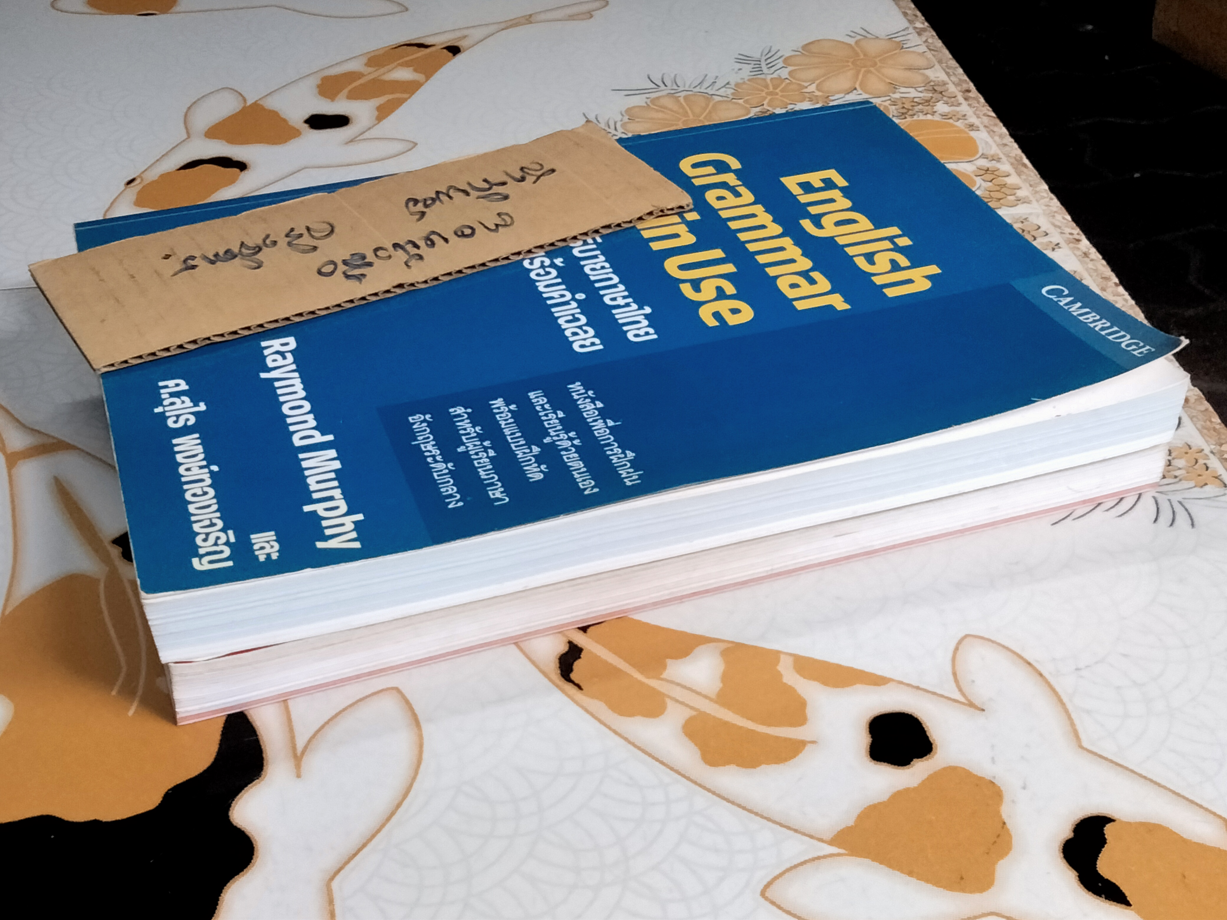 ESSENTIAL GRAMMAR IN USE + ENGLISH GRAMMAR IN USE - RAYMOND MURPHY + รศ. ศรีภูมิ อัครมาส , ศ. สุไร พงษ์ทองเจริญ (ขายรวม 2 เล่ม) **สินค้าหมด**