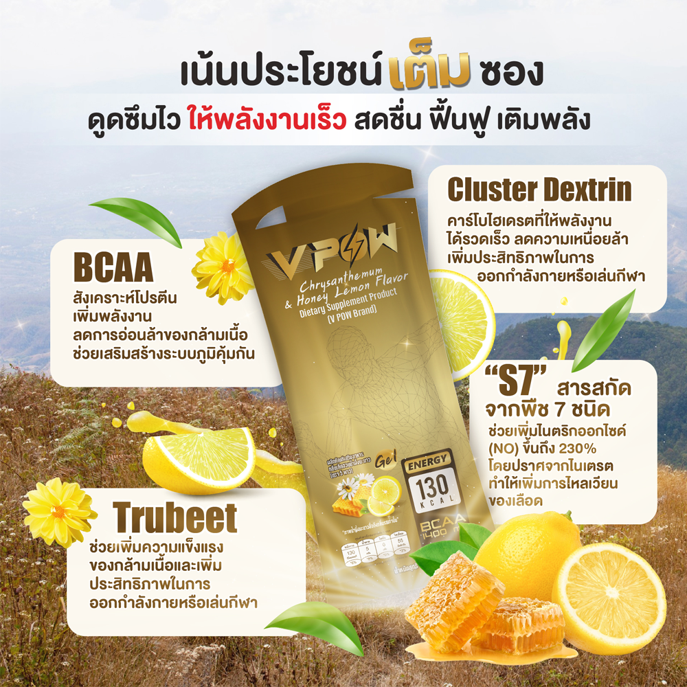 V POW ENERGY GEL เจลพลังงานรูปแบบใหม่ สารสกัดธรรมชาติ 100% (Z17)