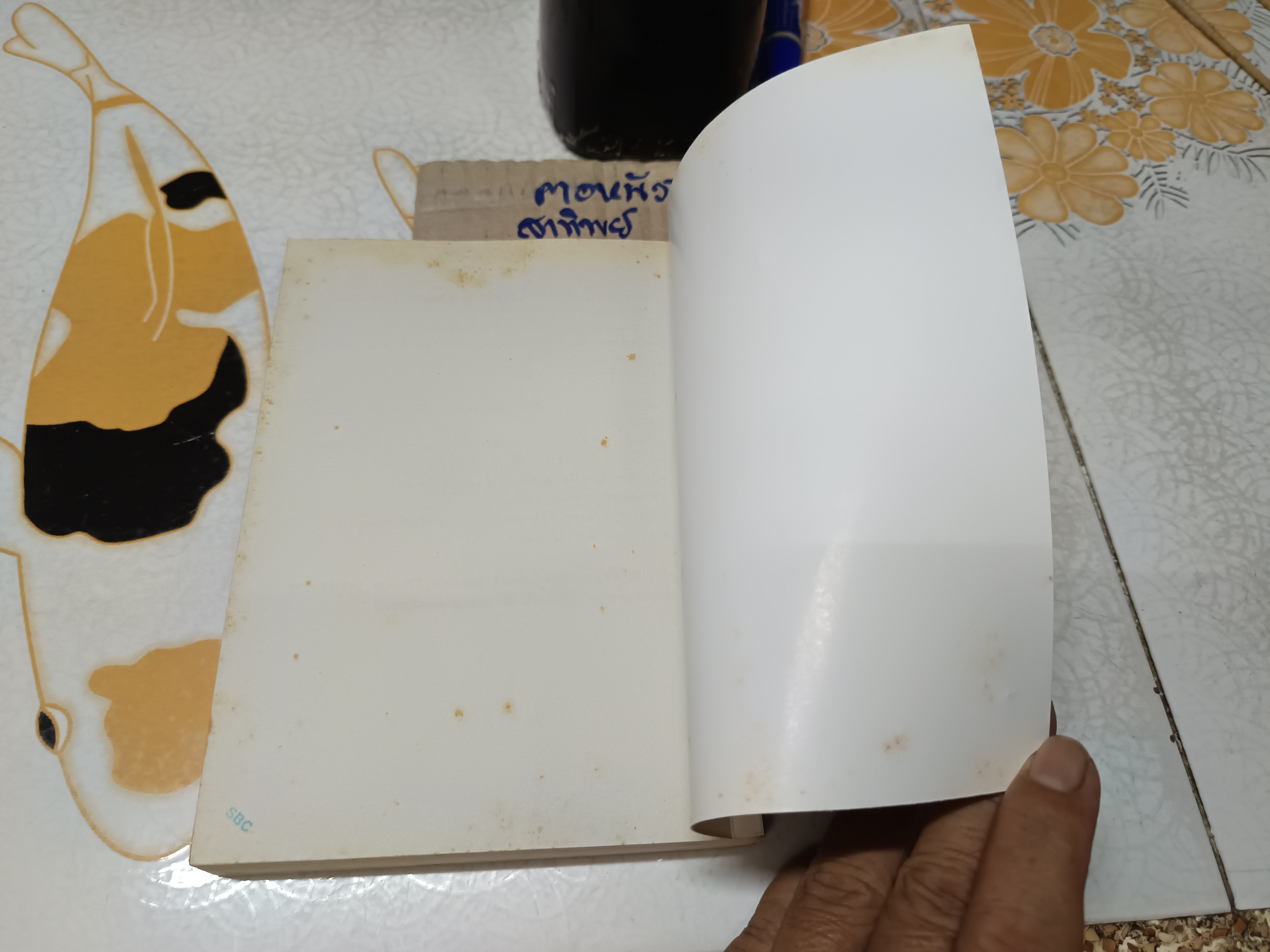 seasons change : จากร้อนสู่ฝนจนถึงหนาว โดย : โสภณา เชาว์วิวัฒน์กุล, อลงกรณ์ คล้ายสีแก้ว และธีปนันท์ เพ็ชรศรี สำนักพิมพ์ : a book **สินค้าหมด**