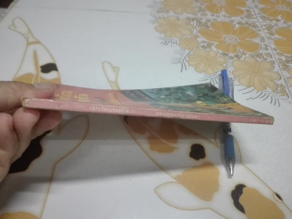 กลางวังวนของชีวิต - รวมบทกวีร้อยแก้ว โดย พระมหาสมภาร พรมทา **สินค้าหมด**