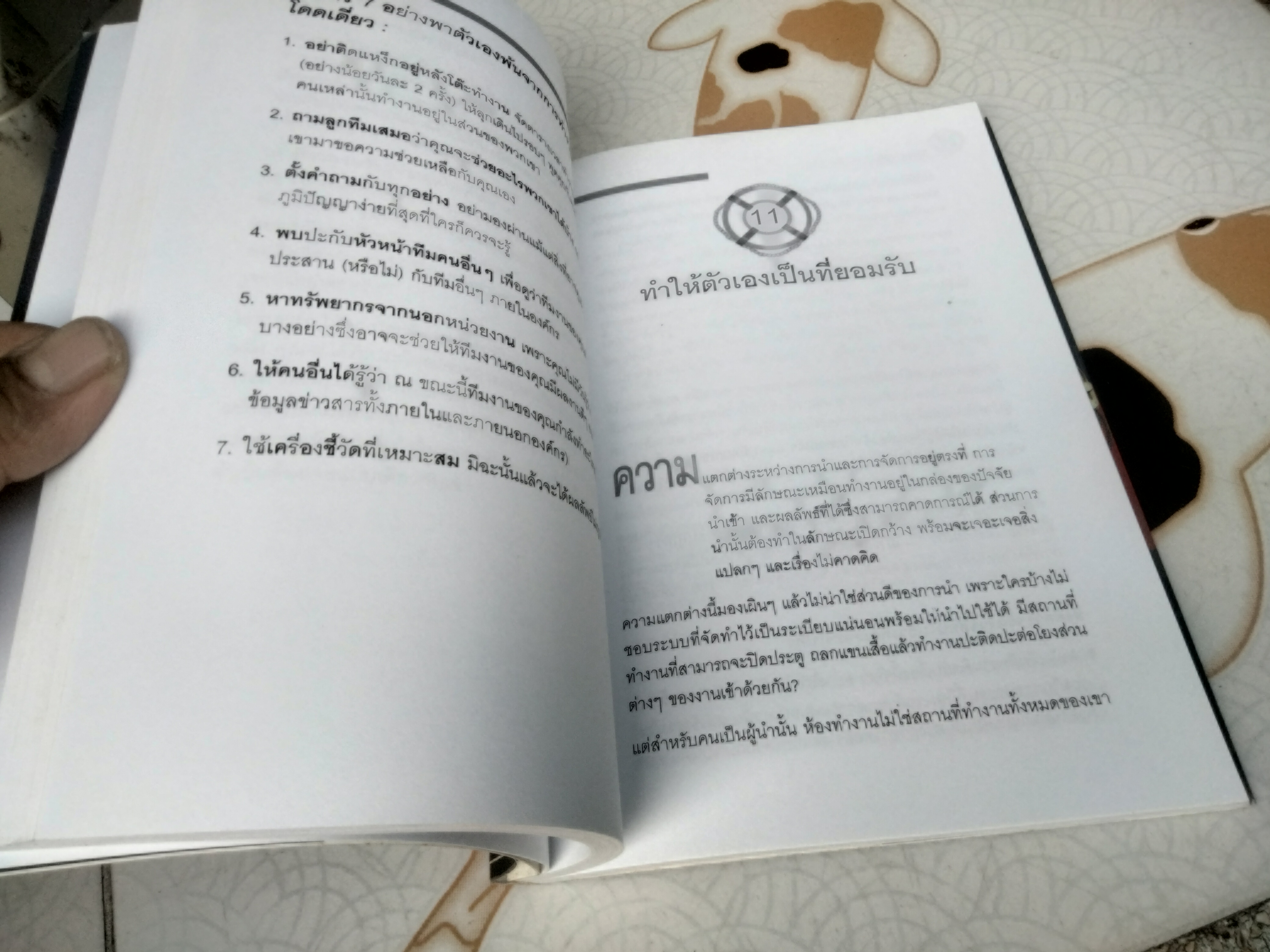 ผู้นำบุญหล่นทับ (The Accidental Leader) โดย ฮาร์วีย์ รอบบินส์ และ ไมเคิล ฟินเลย์ แปลโดย ศิระ โอภาสพงษ์
