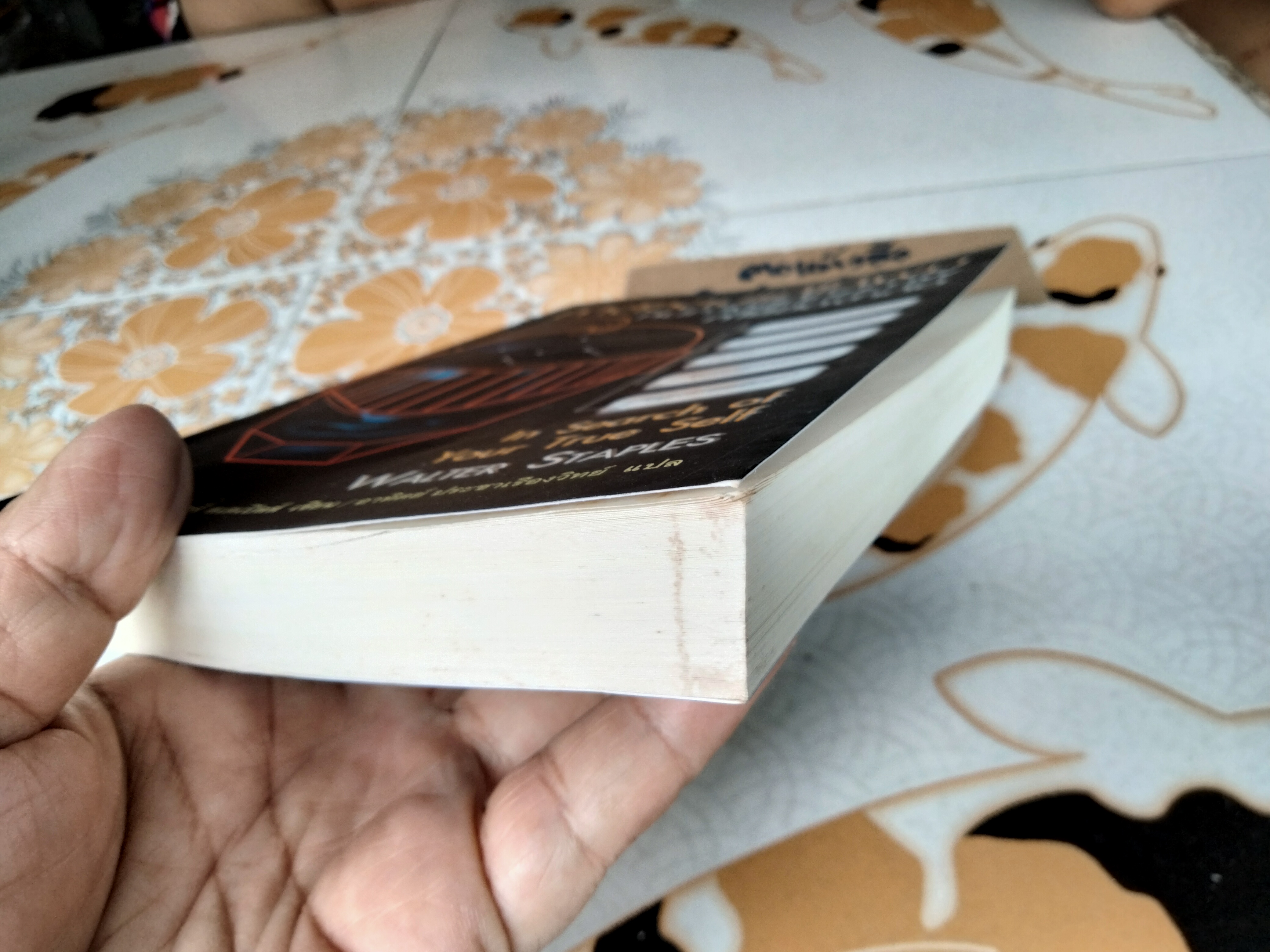 หาตัวตนแท้ให้พบ หนทางสู่ศักยภาพที่ไร้ขีดจำกัด In Search of Your True Self , วอลเทอร์ สเตเปิลส์ เขึยน (มีคราบดินจากปลวกจางๆ-ตามรูป)