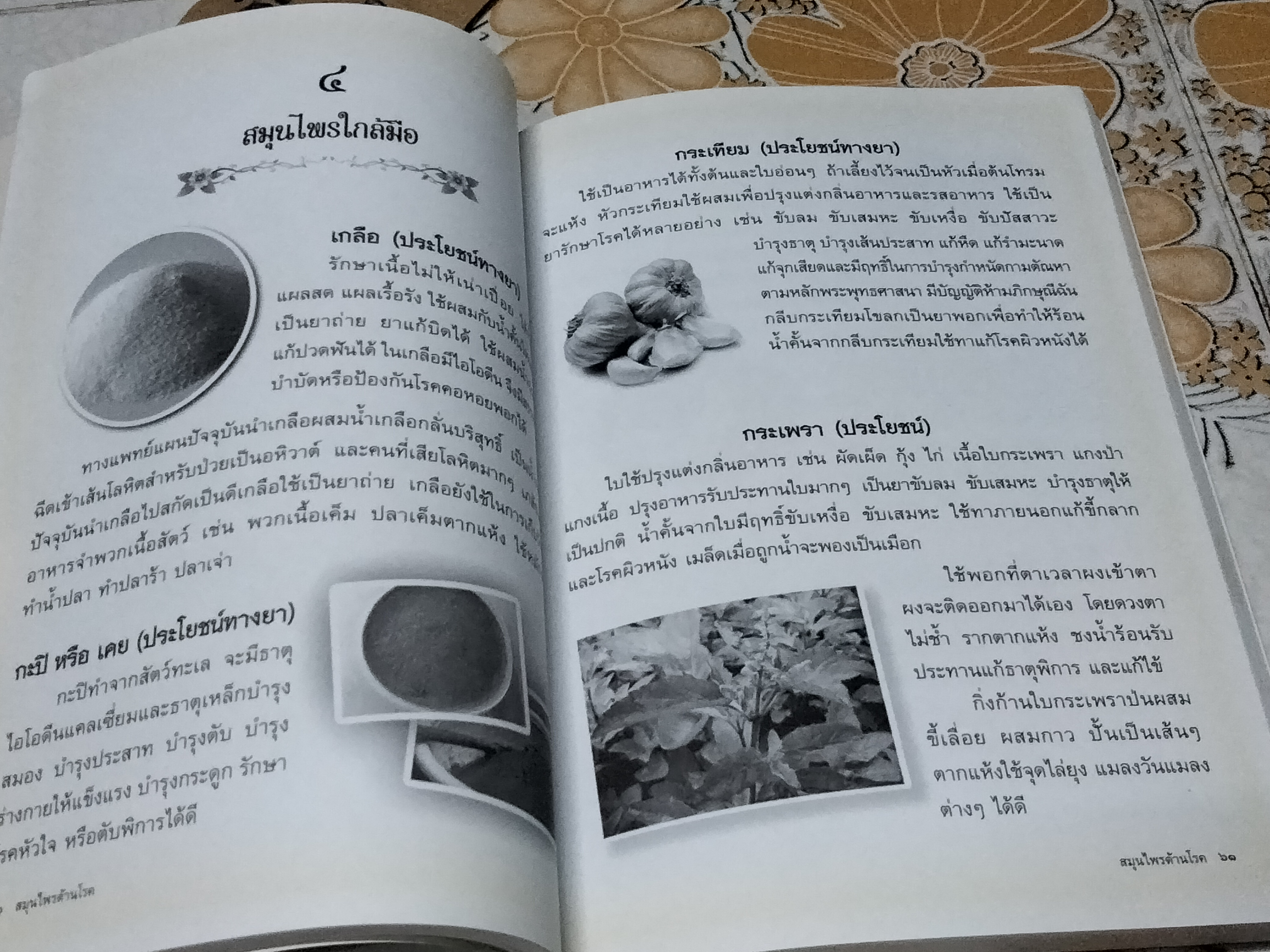 สมุนไพรต้านโรค - หนังสือที่รวบรวมองค์ความรู้มาจากหลากหลายแหล่งข้อมูล