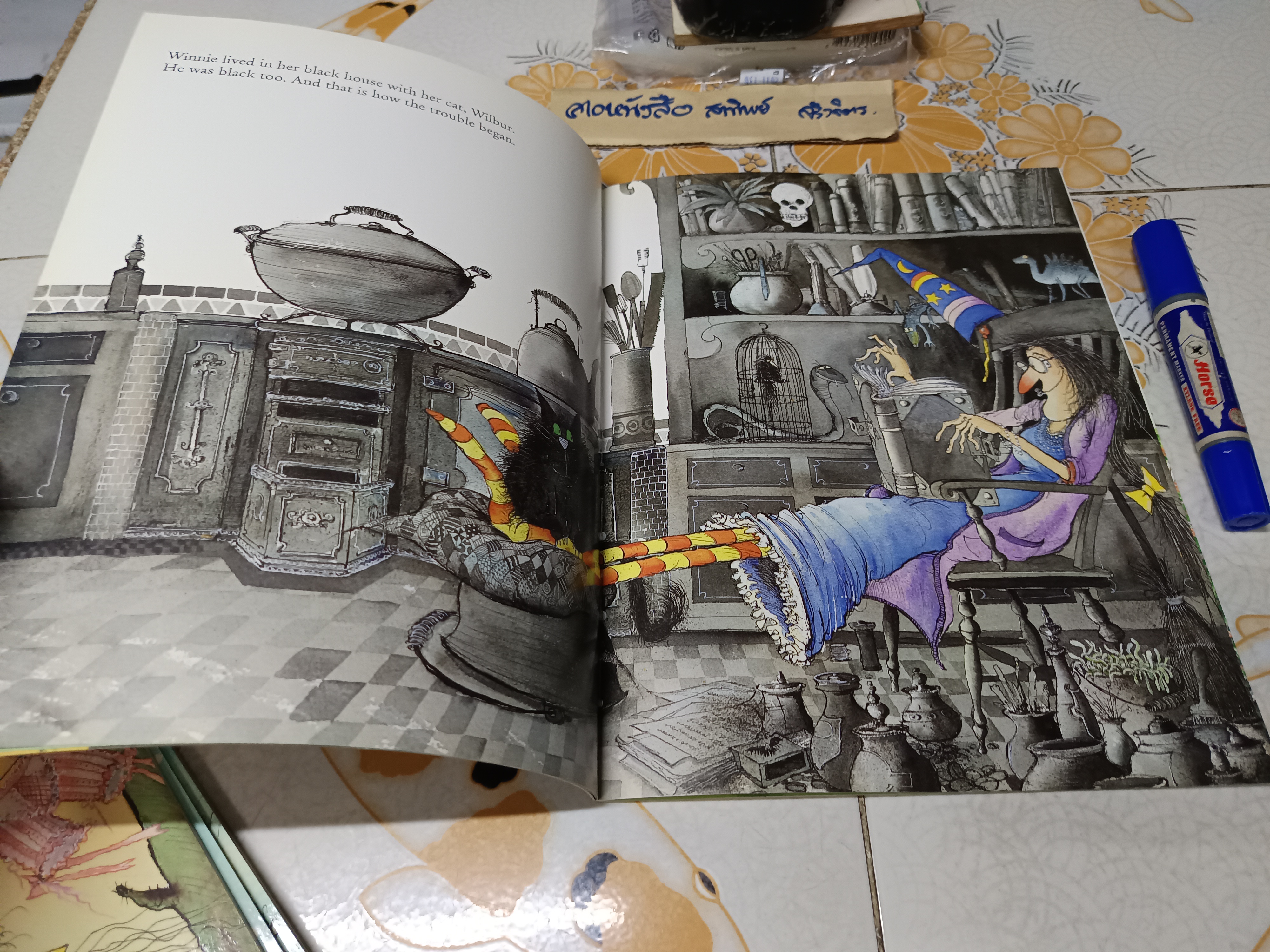 Winnie the Witch ,Winnie the Witch Series