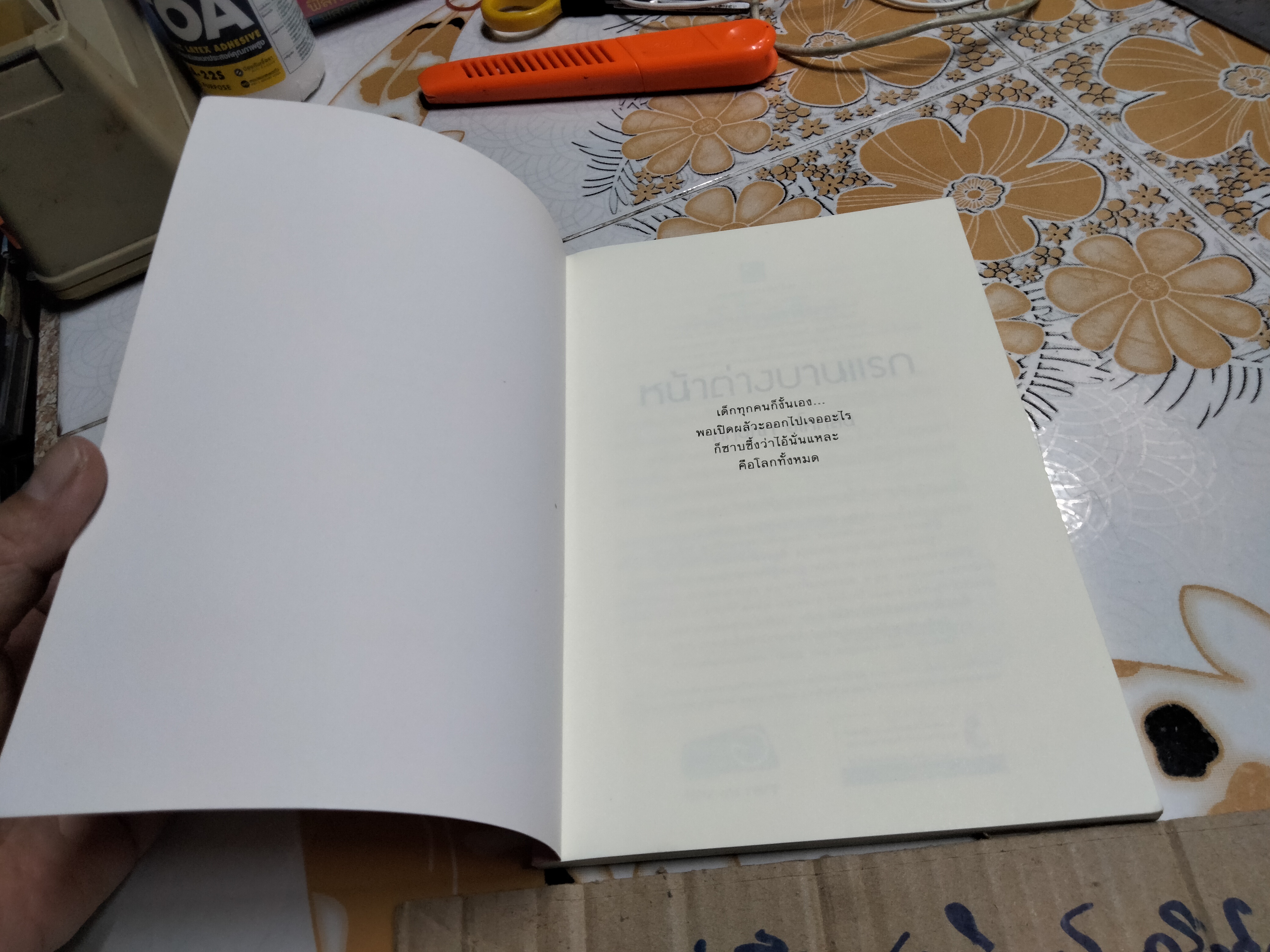 หน้าต่างบานแรก - กฤษณา อโศกสิน